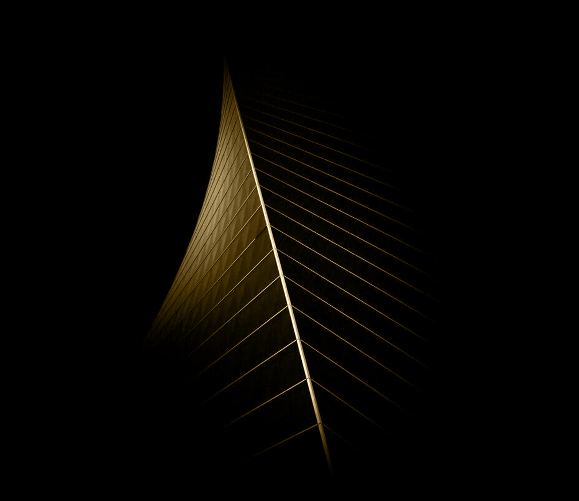 black and white bed linen