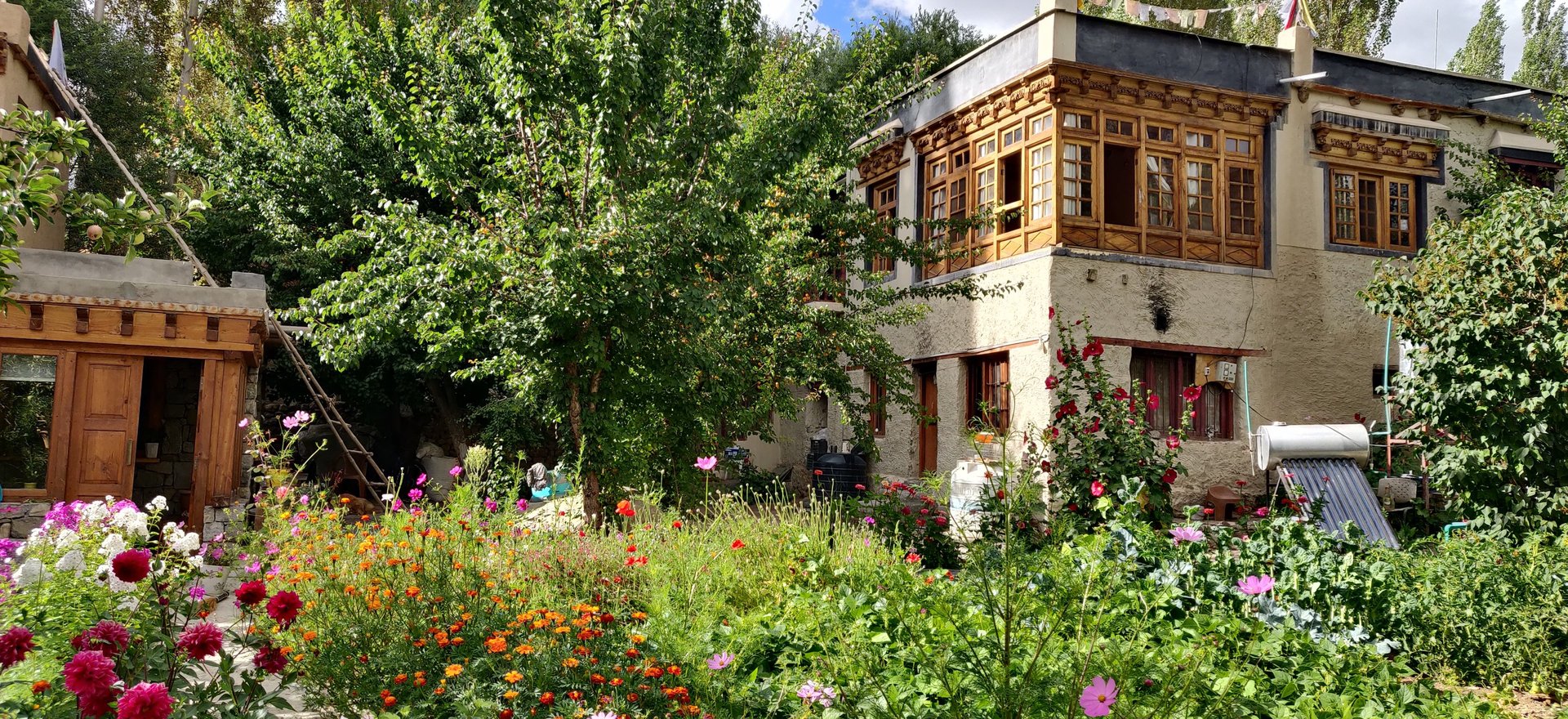 black and white bed linen