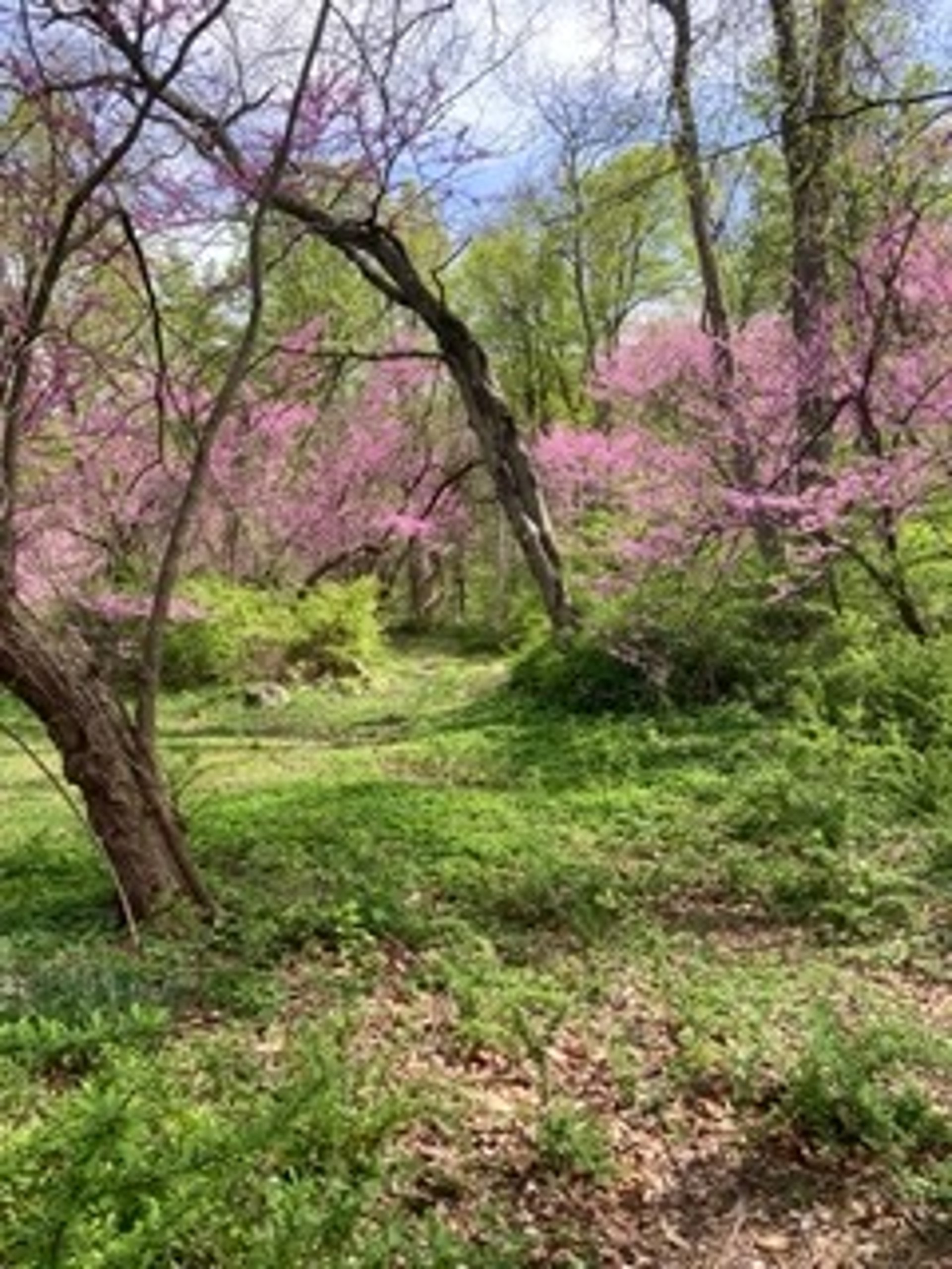 black and brown leather padded tub sofa