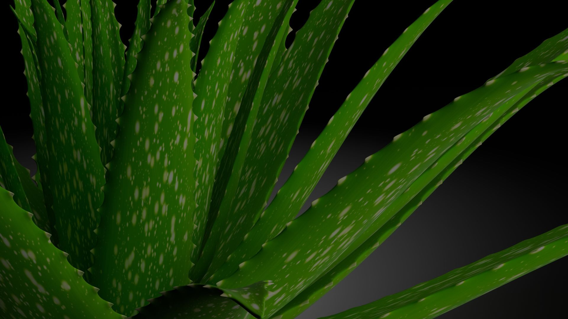 green trees under blue sky during daytime