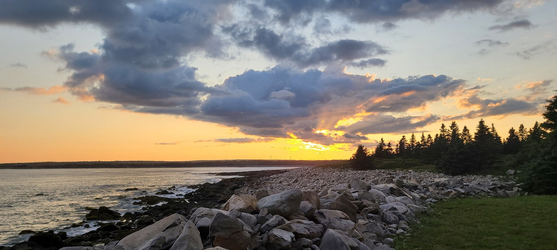 black and brown leather padded tub sofa