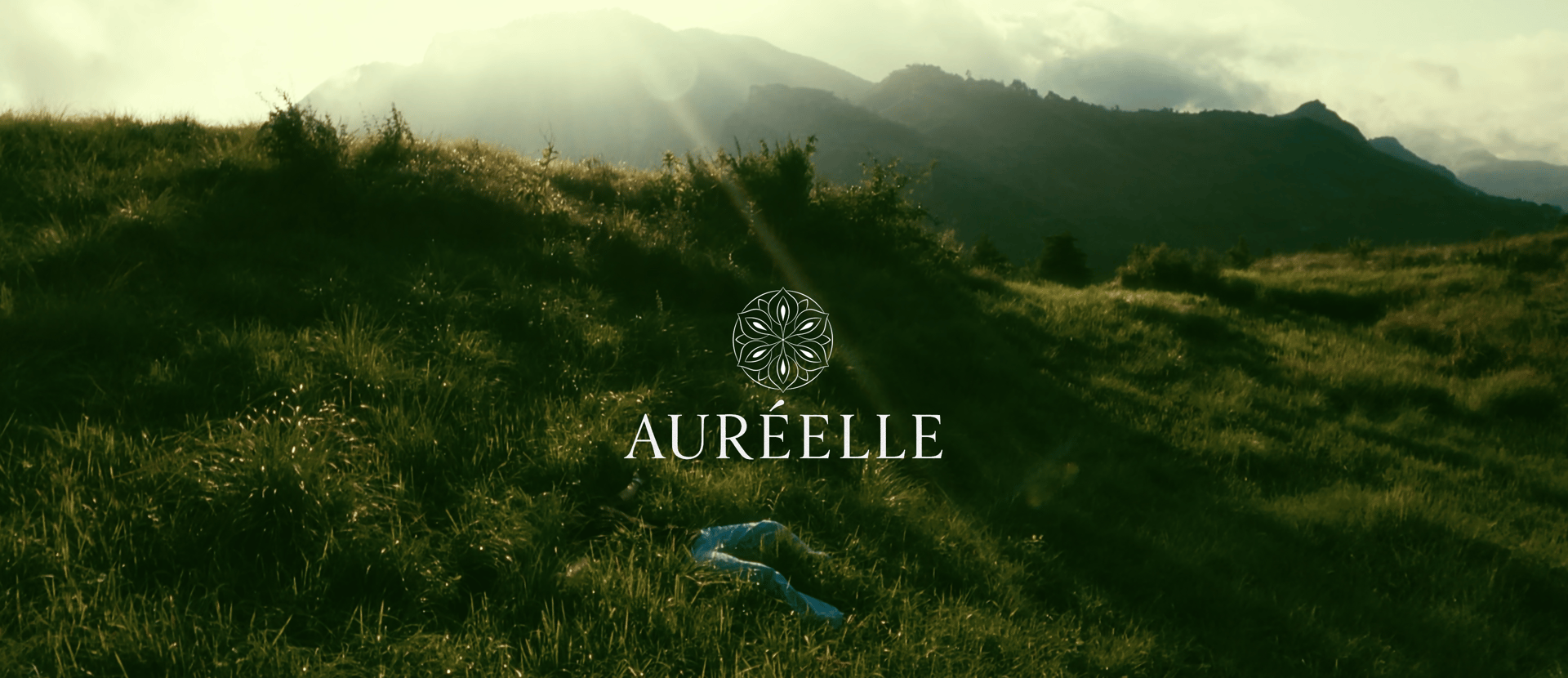 an abstract photo of a curved building with a blue sky in the background