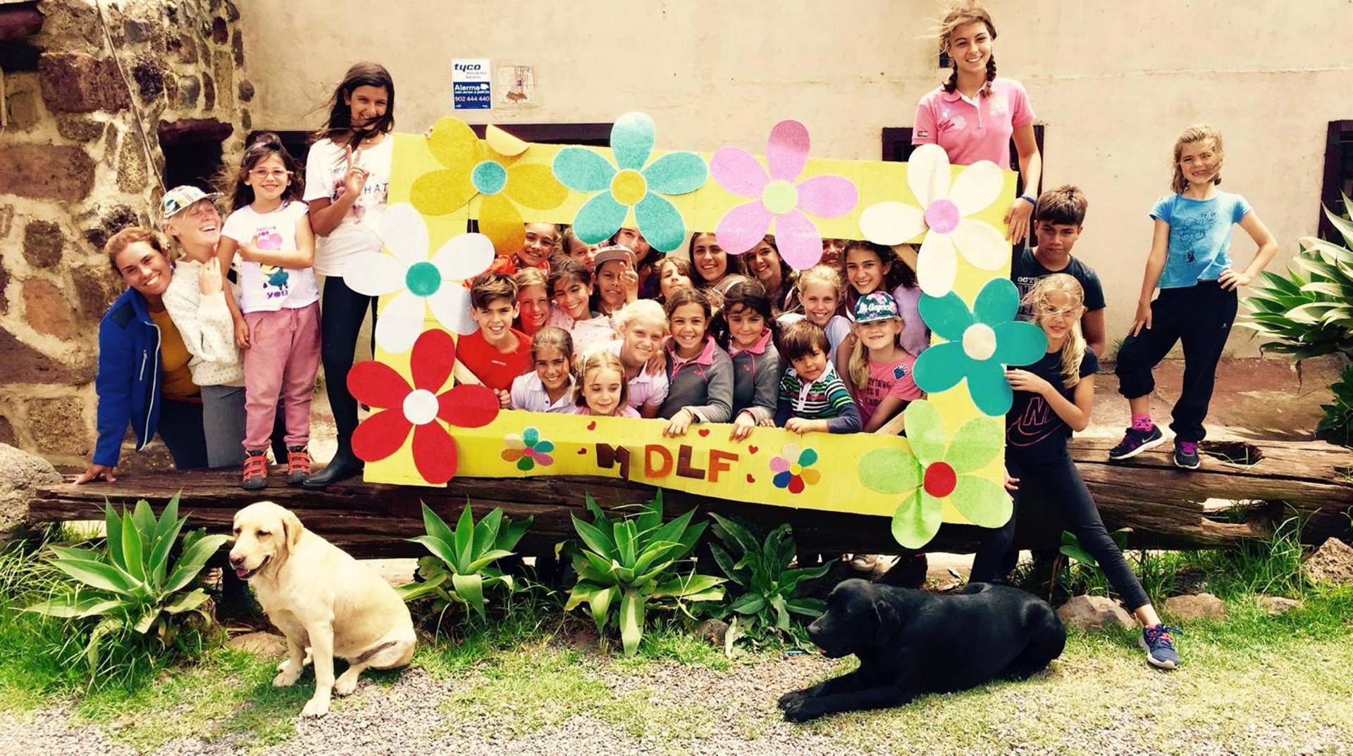 gray computer monitor