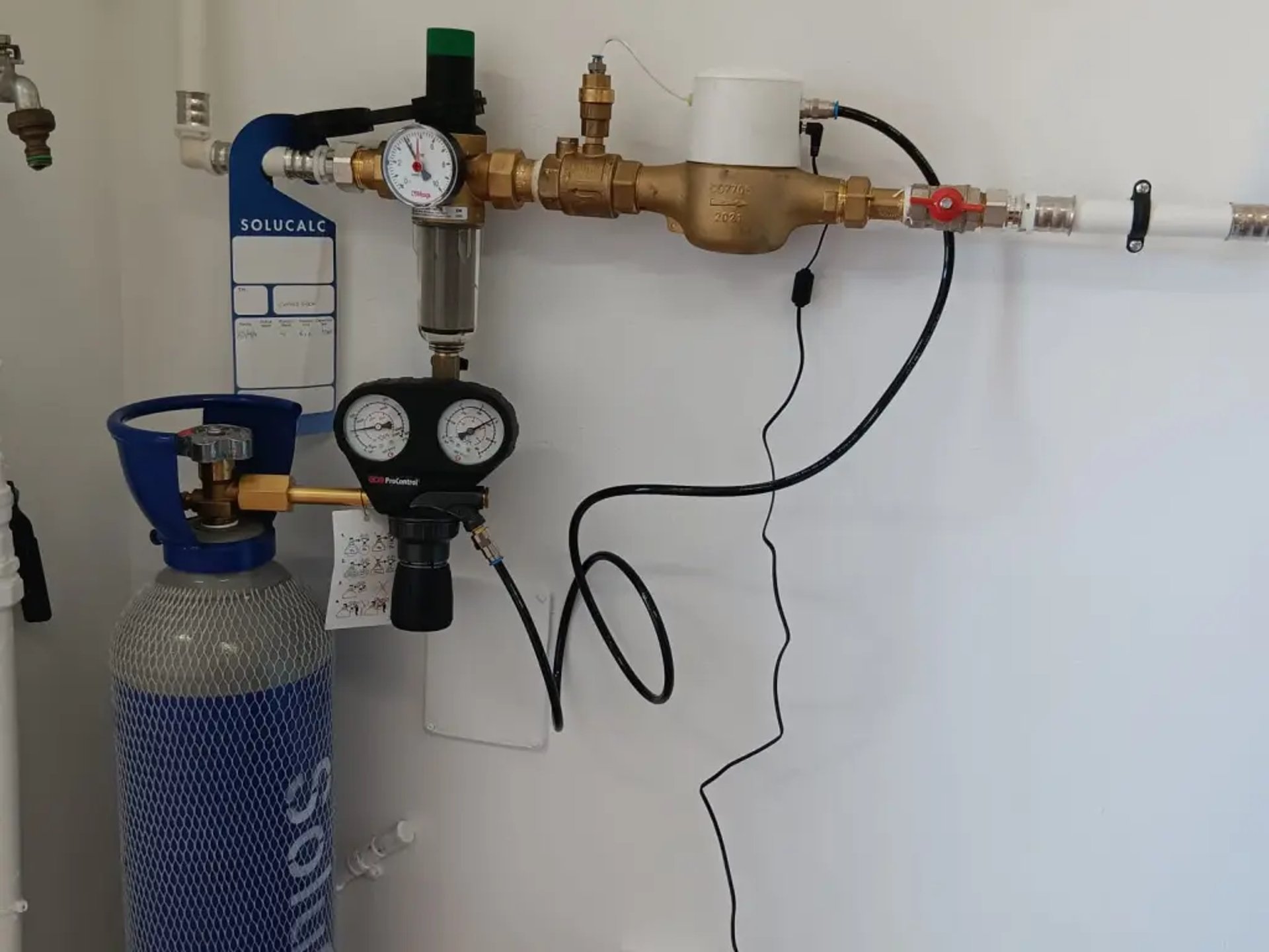 woman wearing yellow long-sleeved dress under white clouds and blue sky during daytime