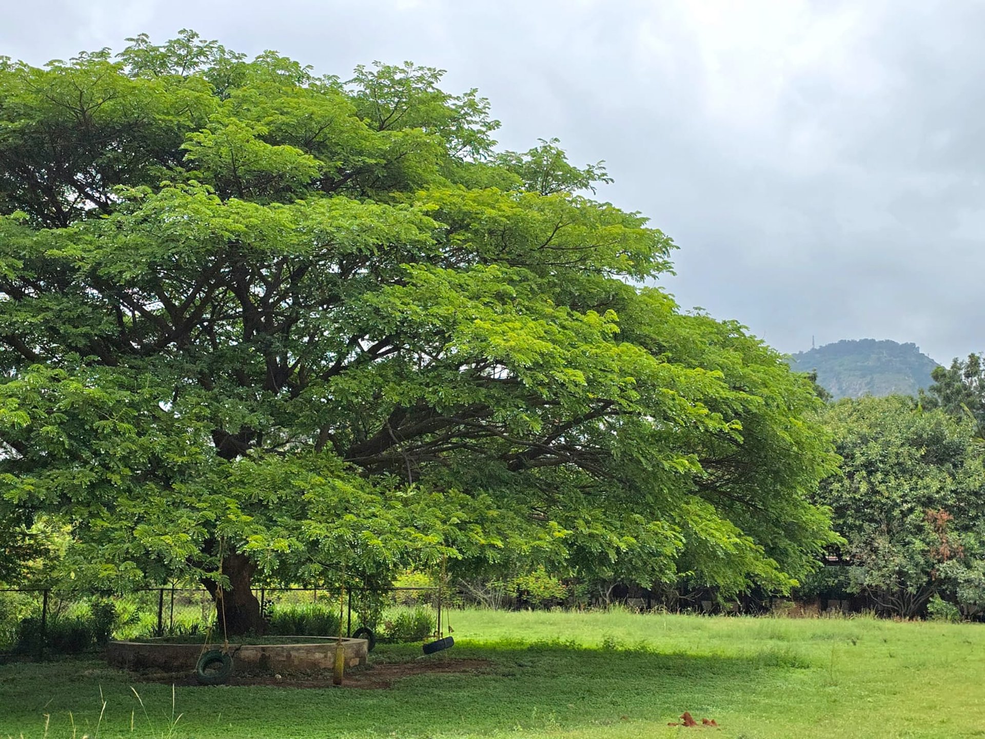 an abstract photo of a curved building with a blue sky in the background