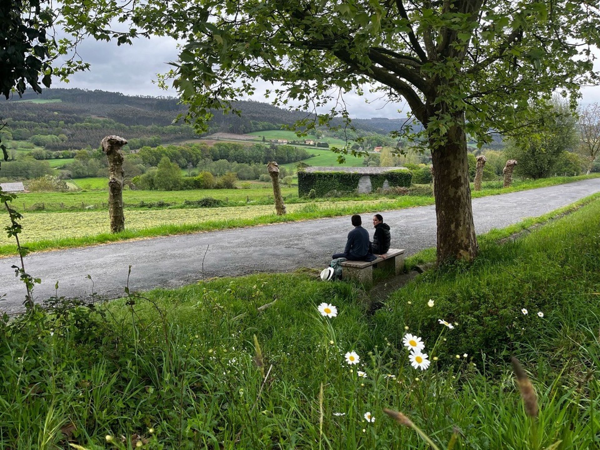 couple wearing silver-colored rings