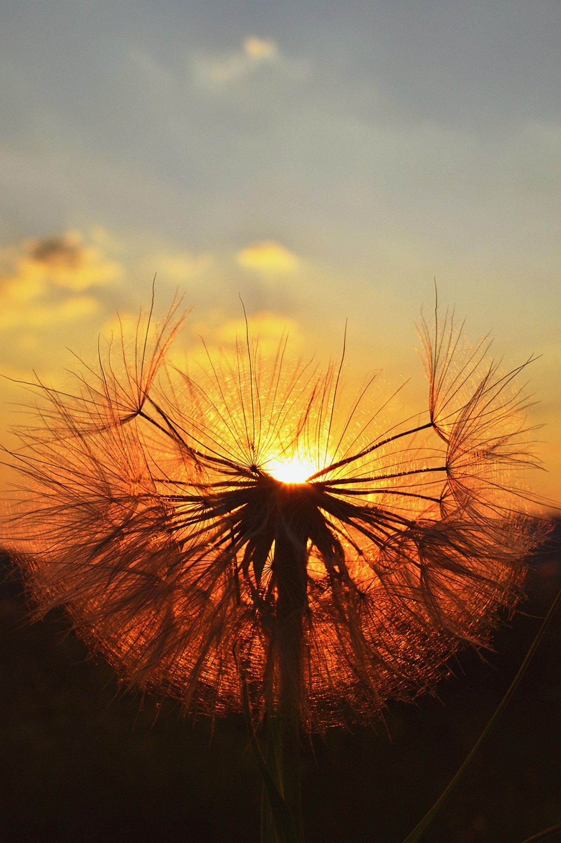 Constellations familiales Liège, thérapie karmique