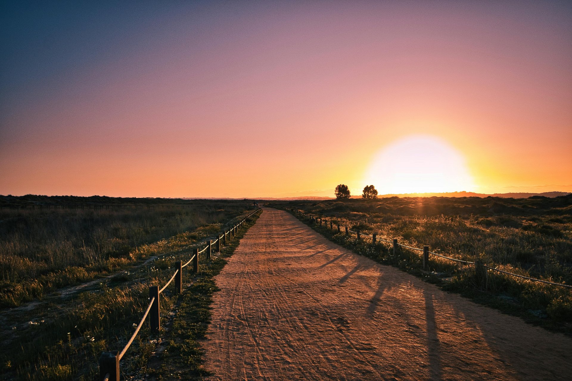 Constellations familiales systémiques à Liège 