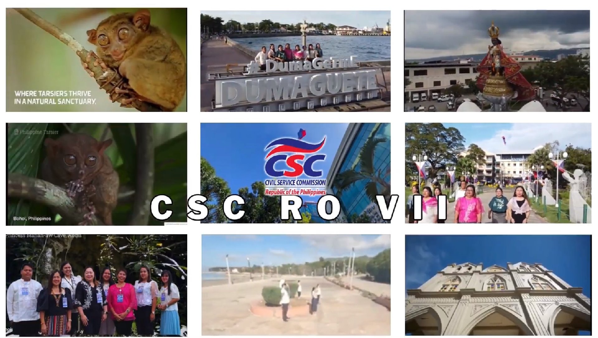 black and brown leather padded tub sofa