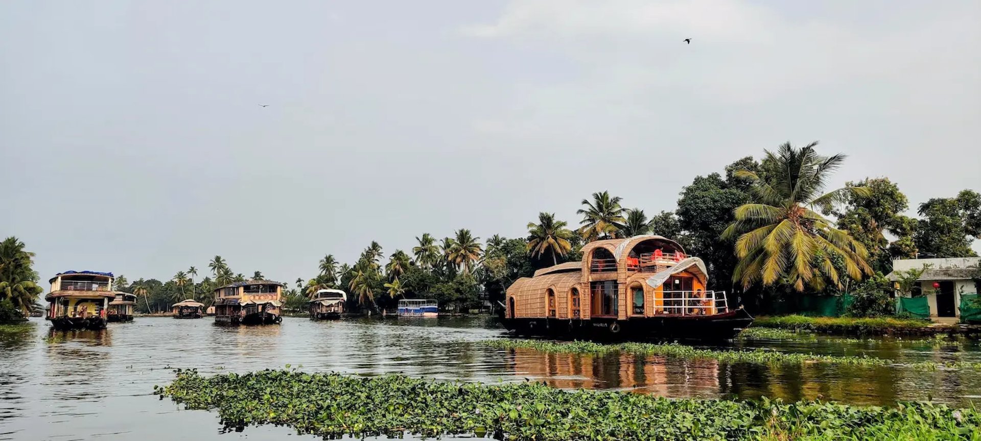 Alleppey Backwaters, Houseboats, Kerala