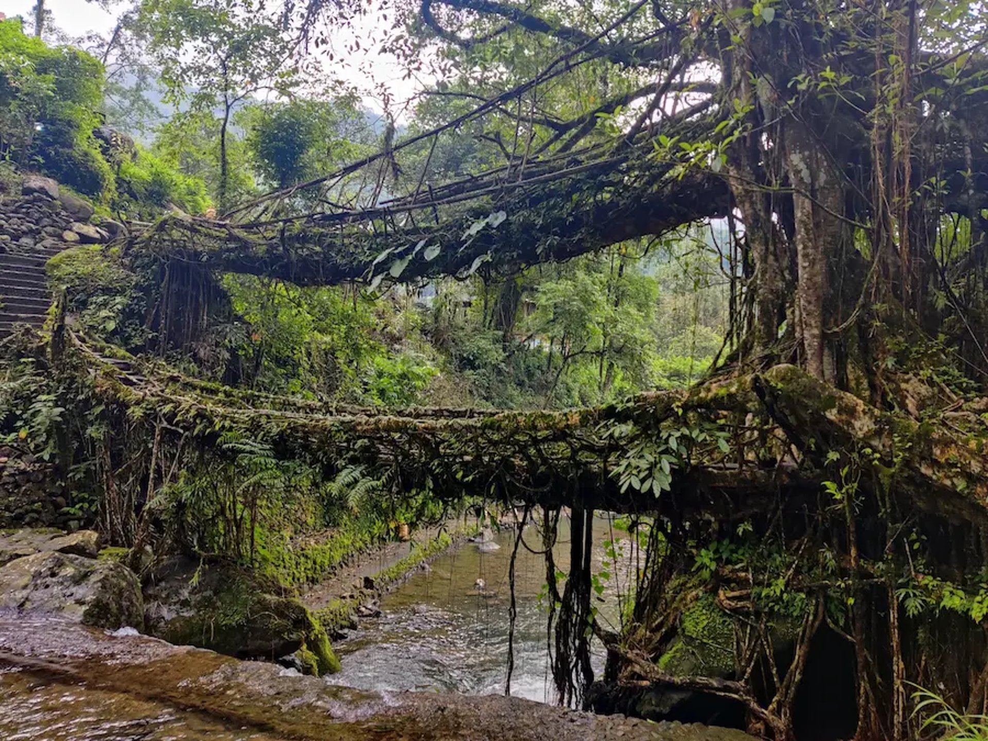 Meghalaya, double decker bridge