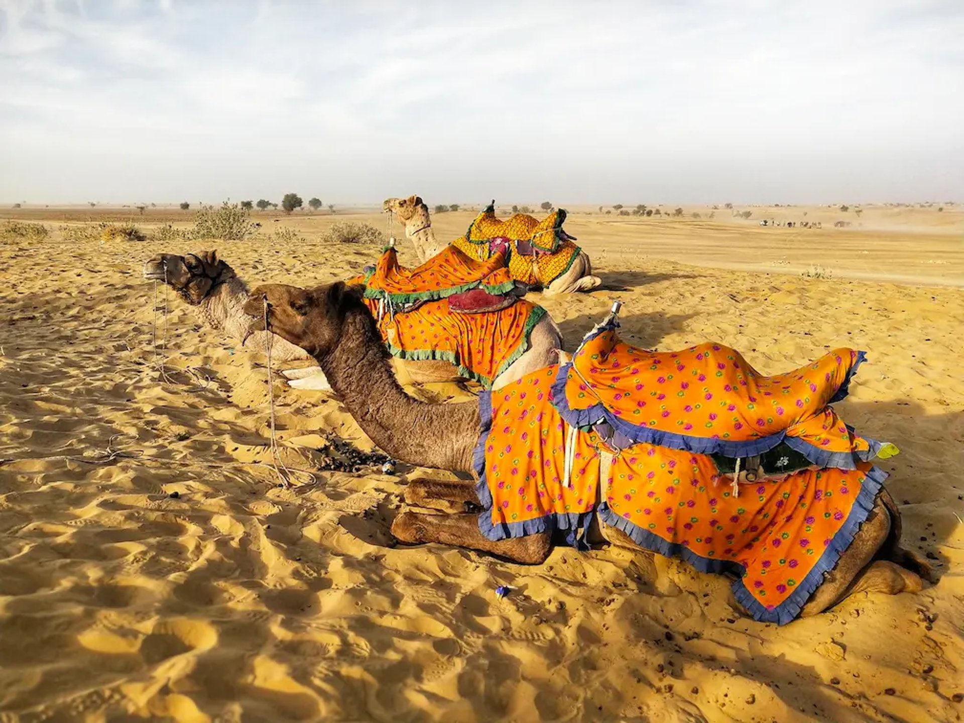 Rajasthan