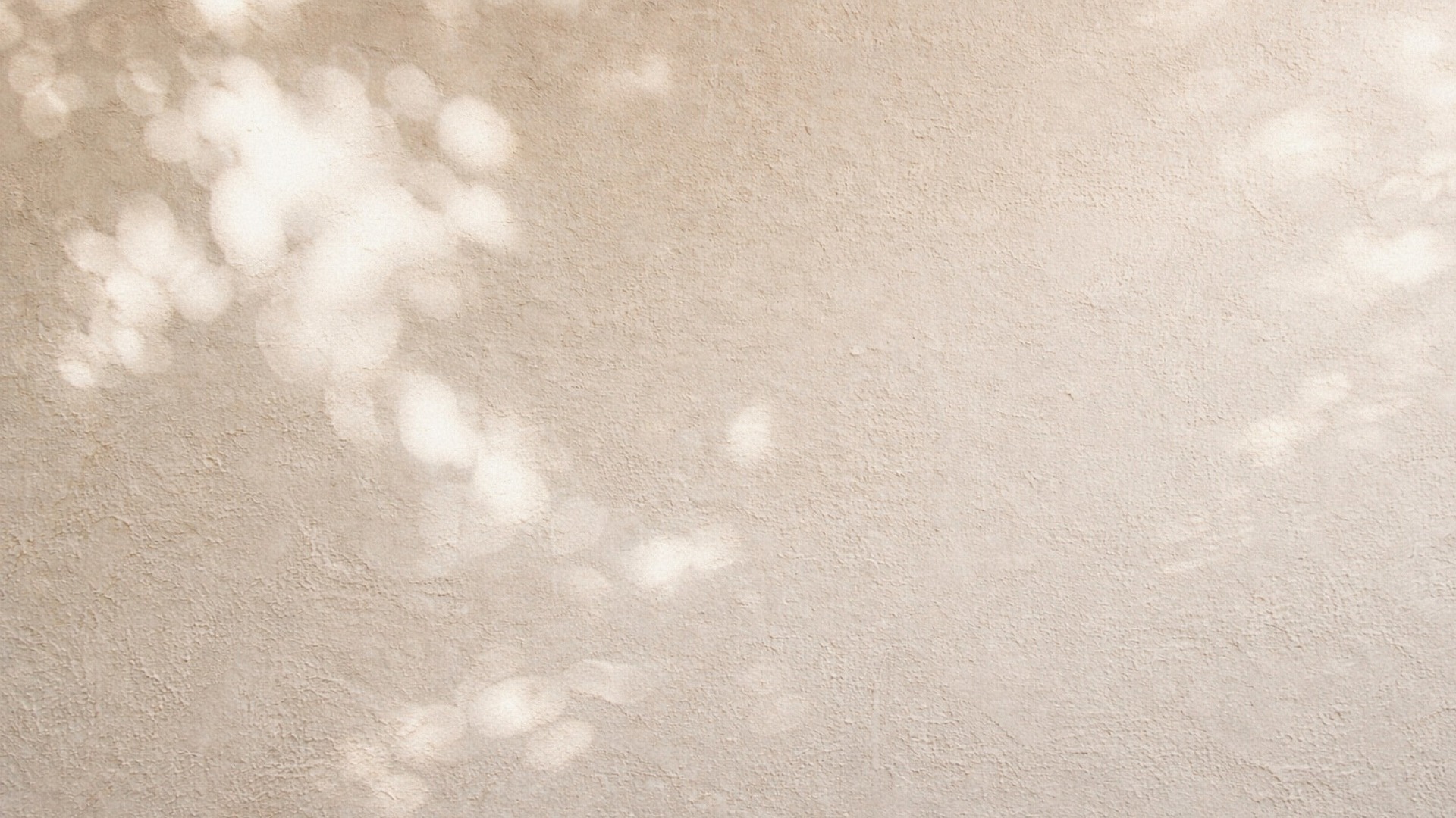 white and brown window curtain