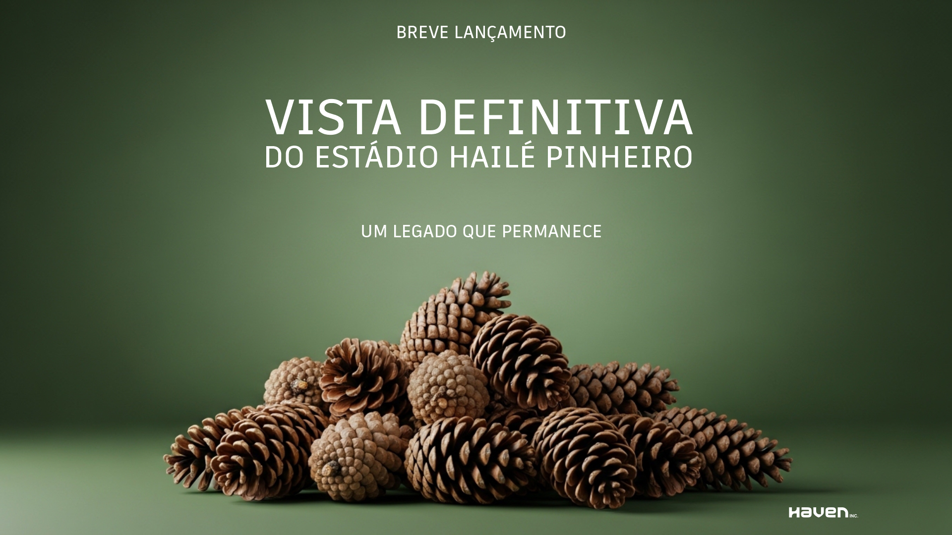 a forest filled with lots of tall green trees