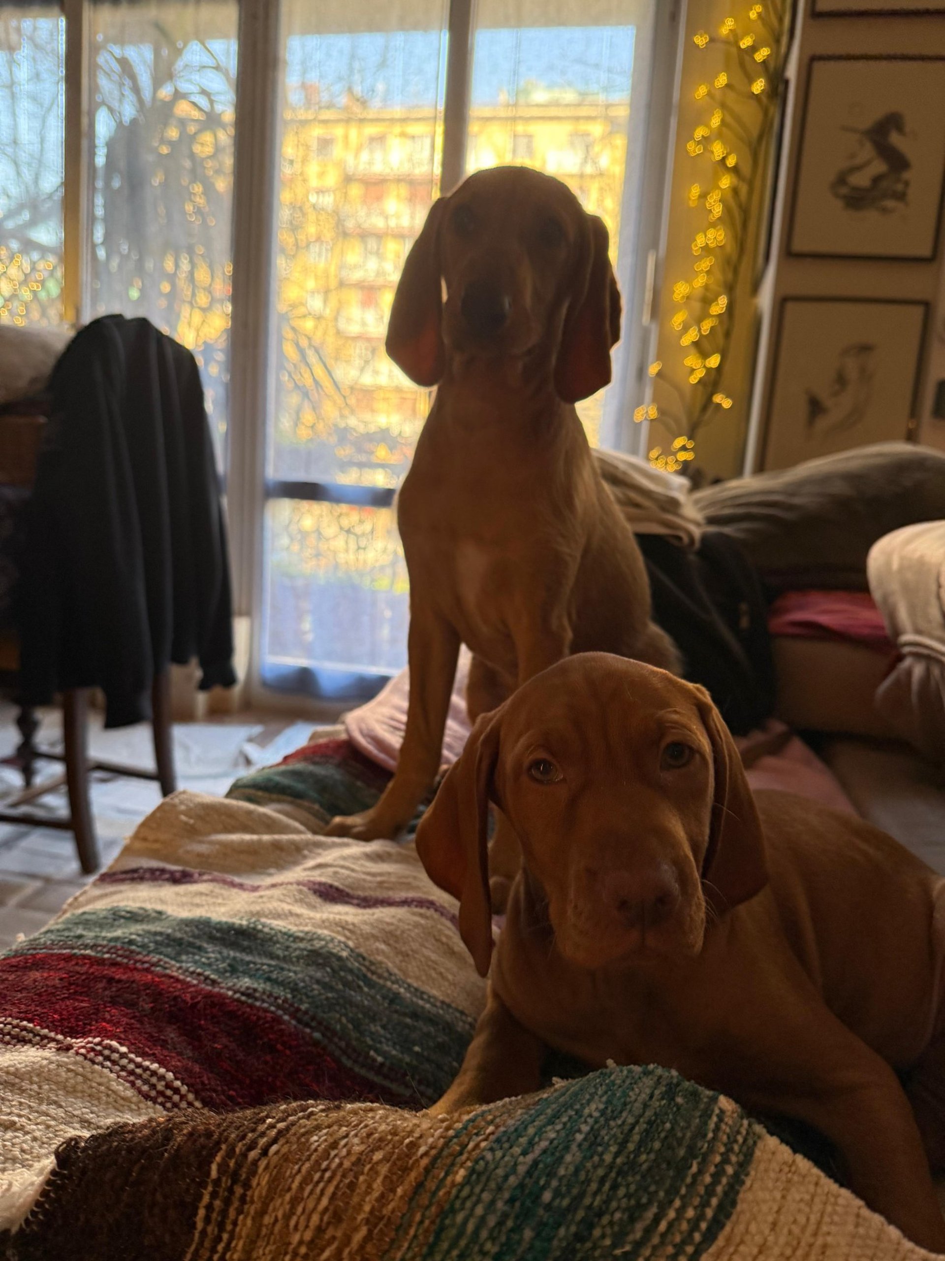 woman wearing yellow long-sleeved dress under white clouds and blue sky during daytime
