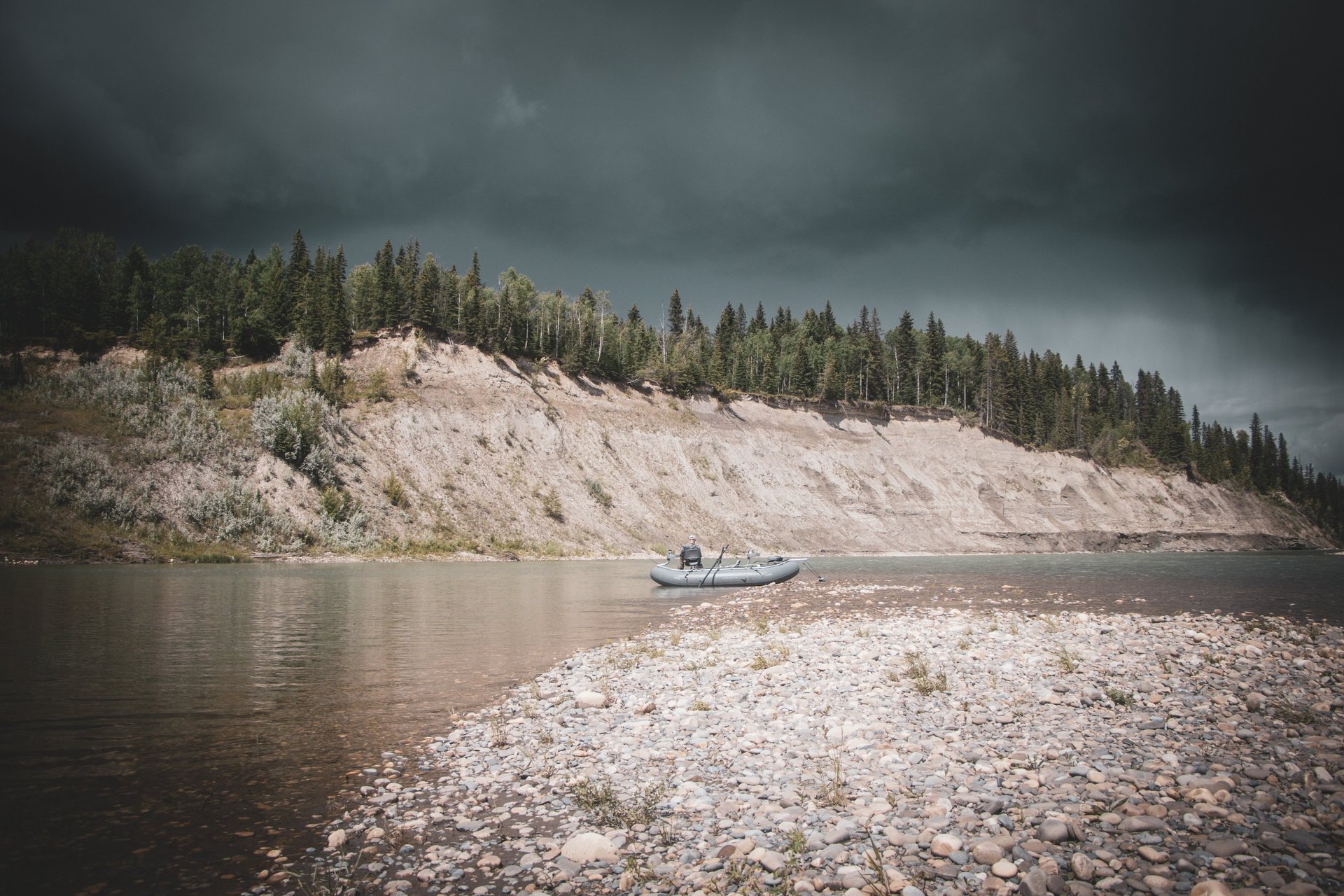 woman holding dried flower