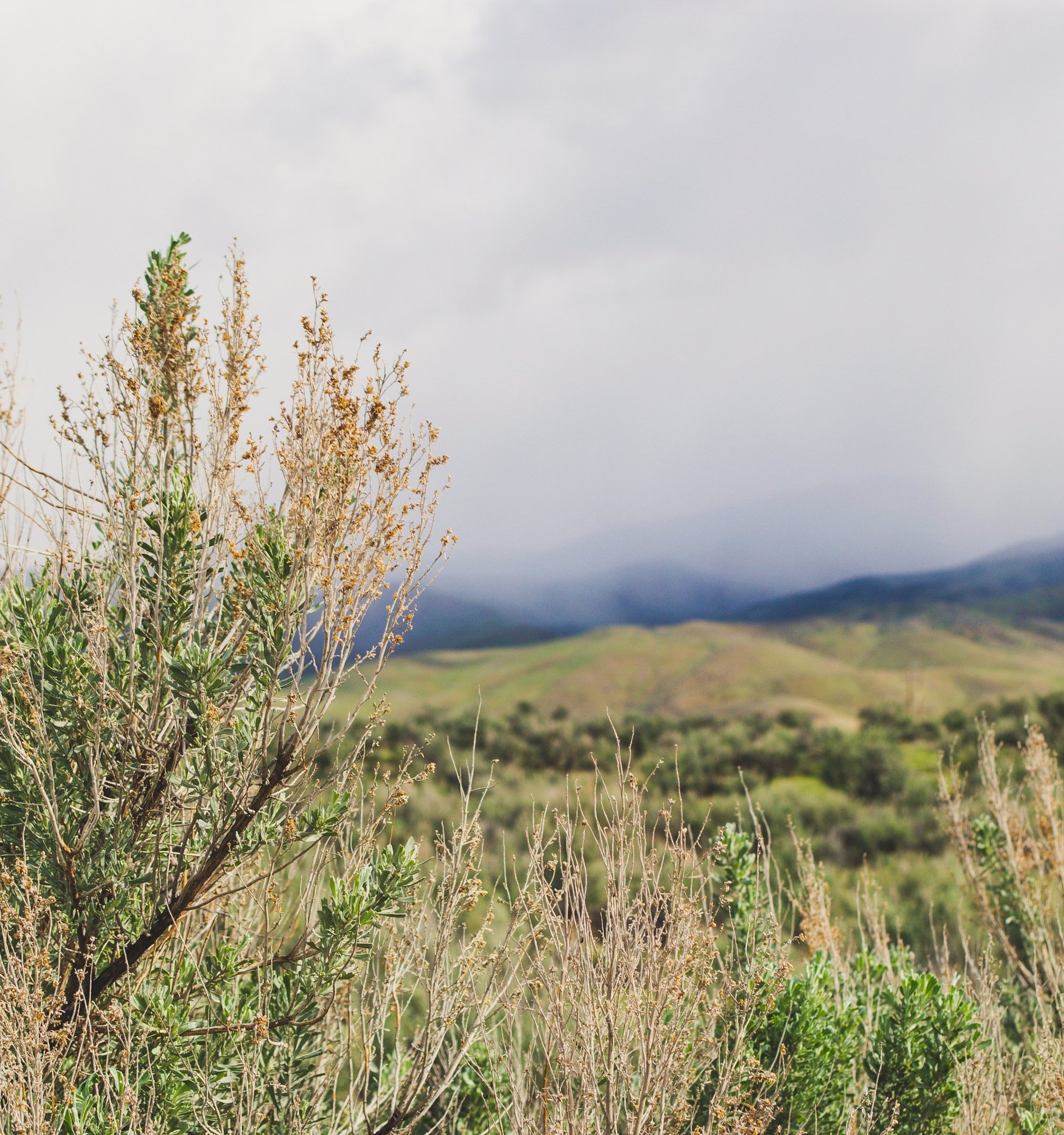 an abstract photo of a curved building with a blue sky in the background