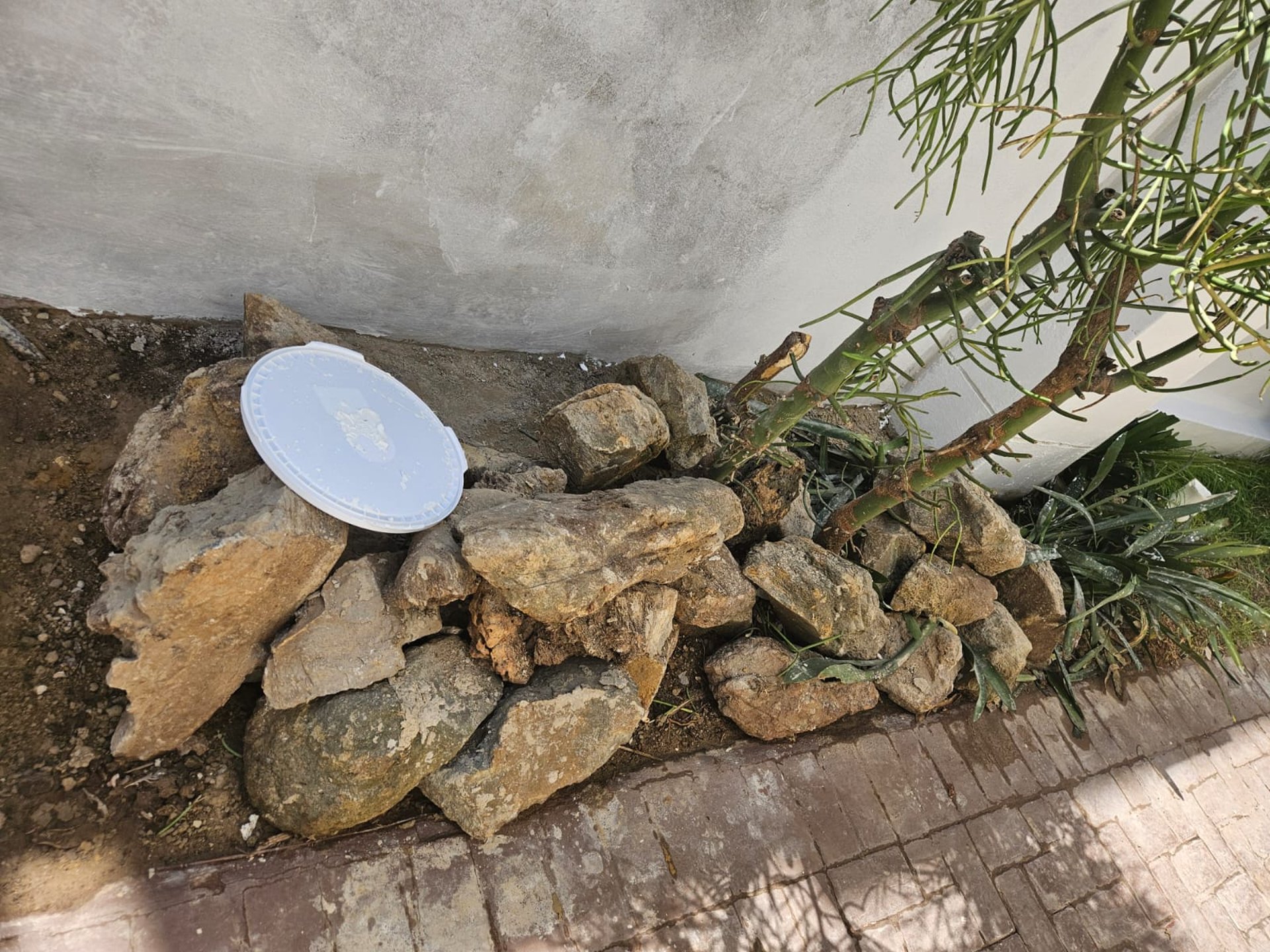 woman wearing yellow long-sleeved dress under white clouds and blue sky during daytime