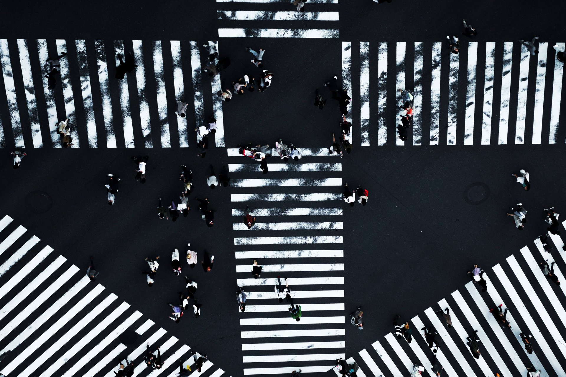 people walking on street