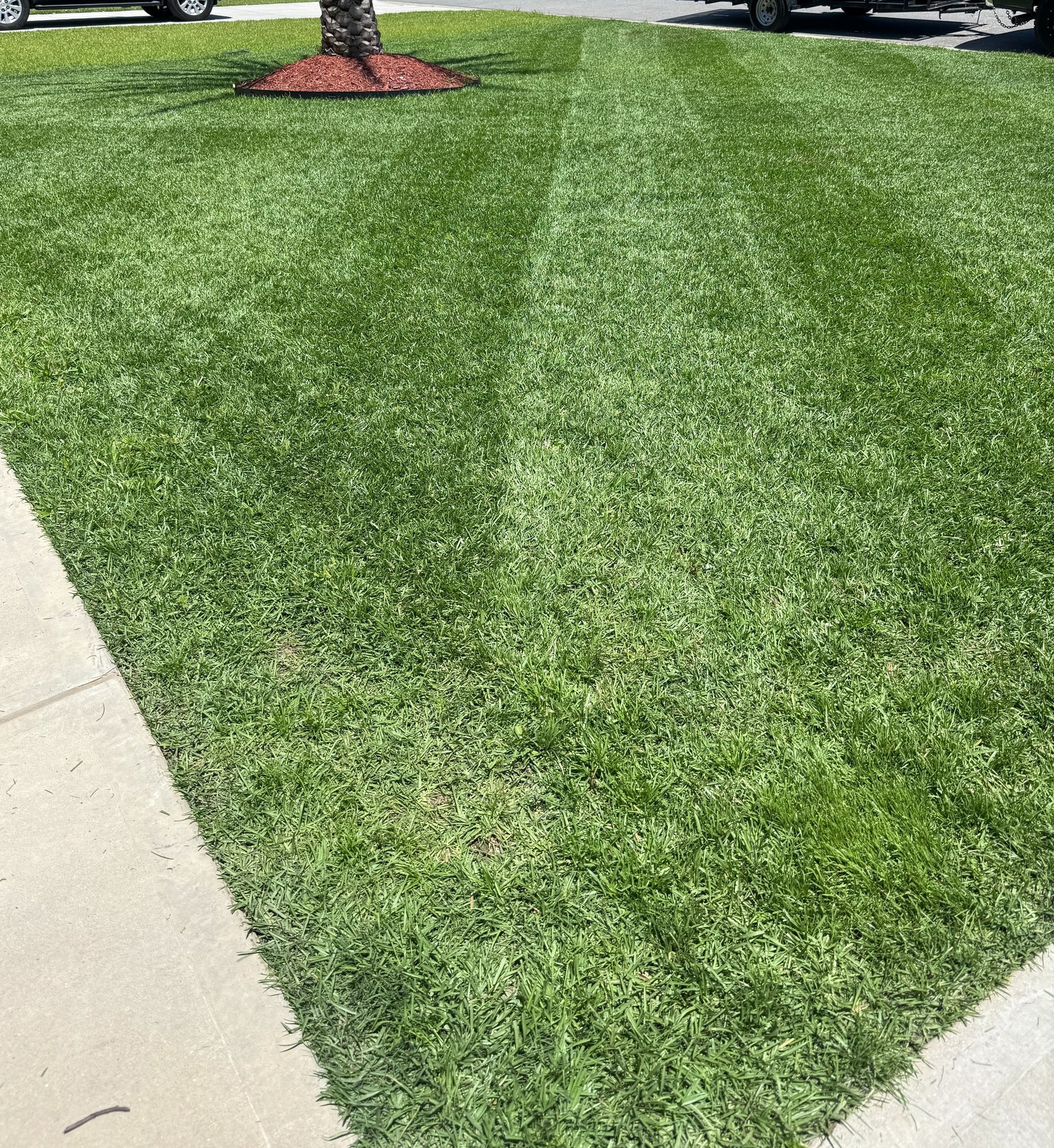 Professional lawn care and weed control services in Pooler GA