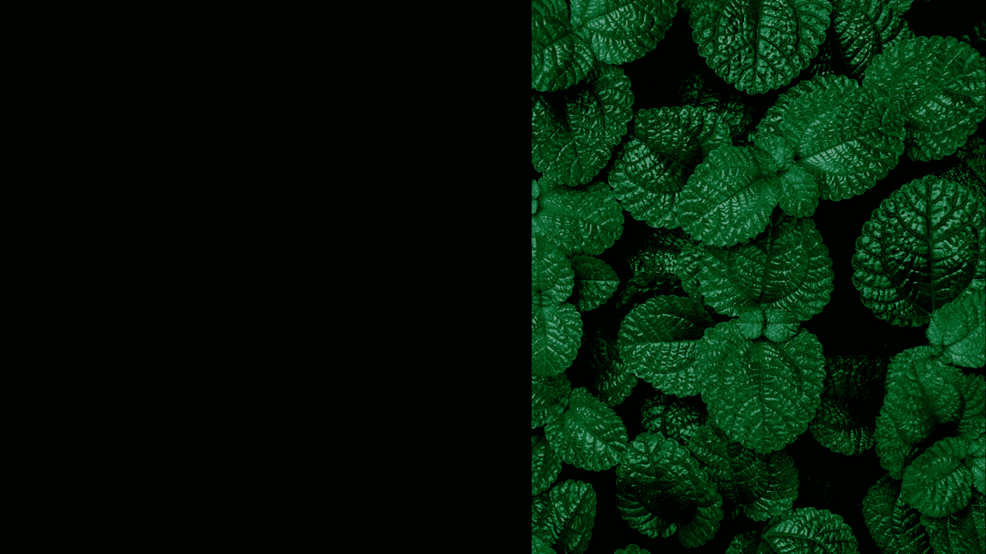 mountain range under blue sky