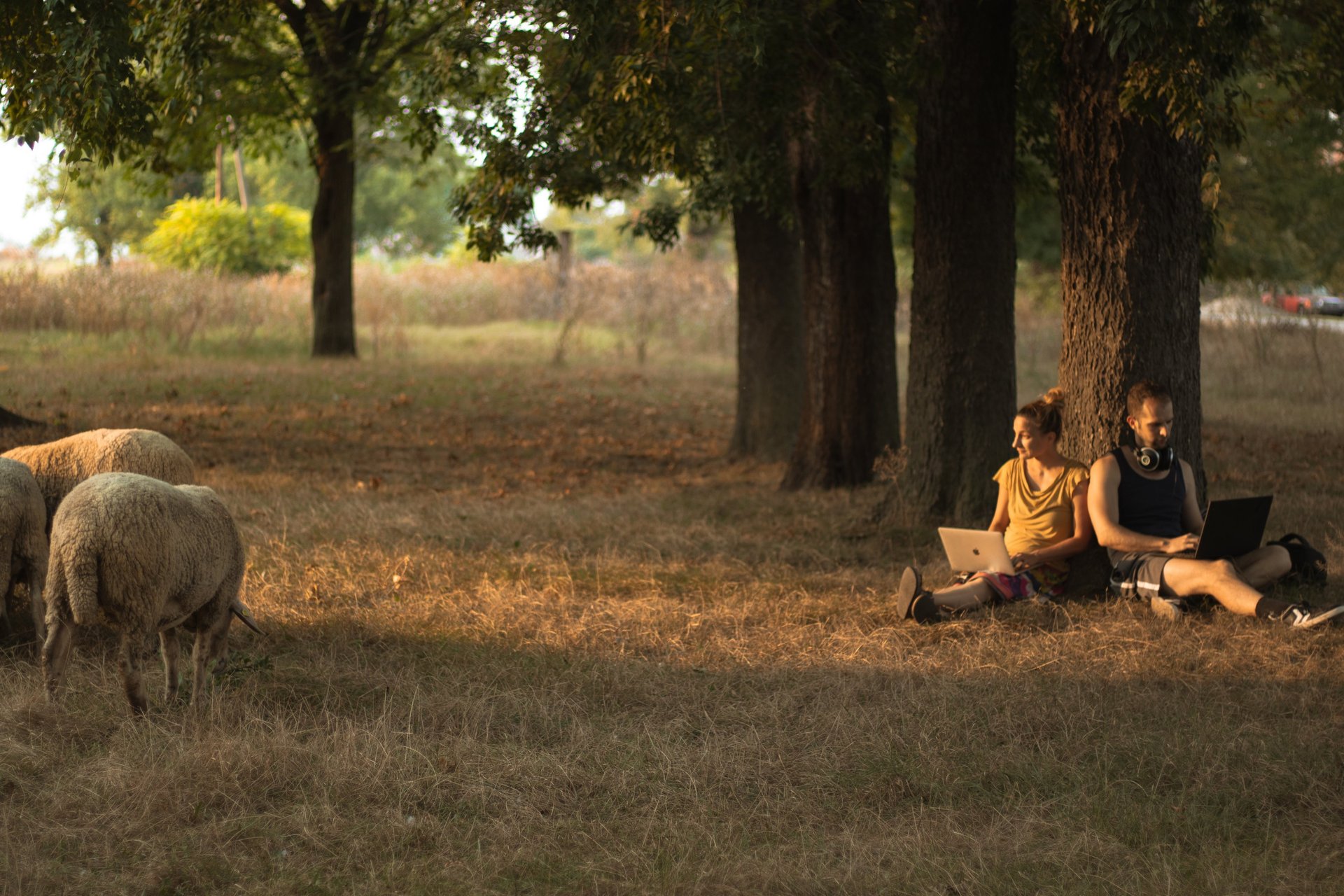 gray computer monitor