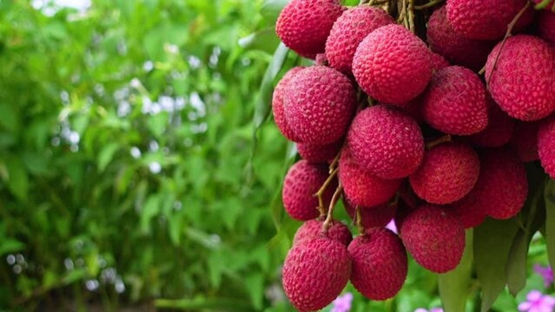 woman wearing yellow long-sleeved dress under white clouds and blue sky during daytime