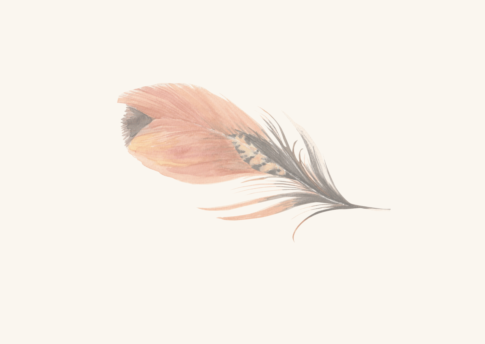 tilt shift lens photography of person holding white feather