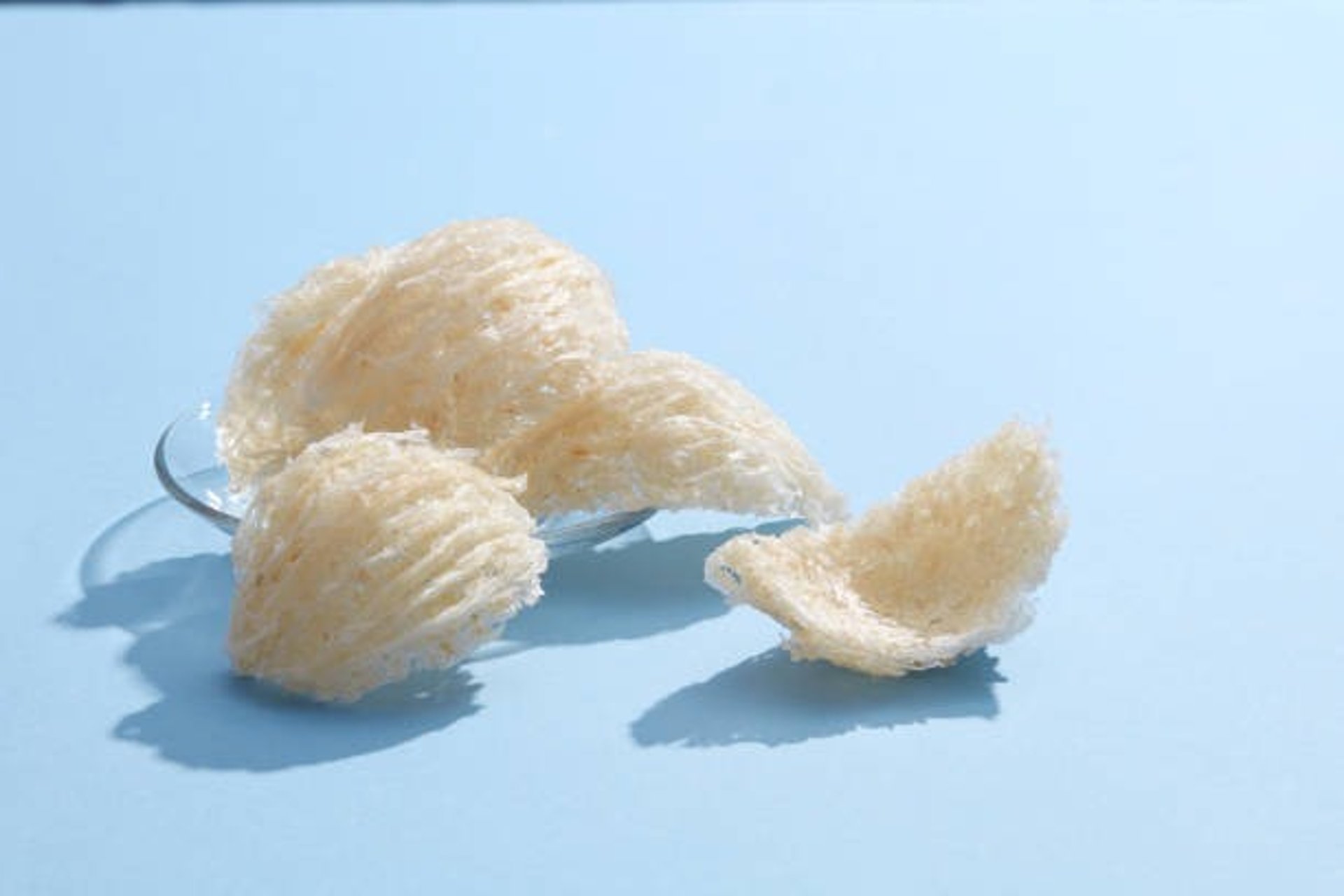 woman holding dried flower