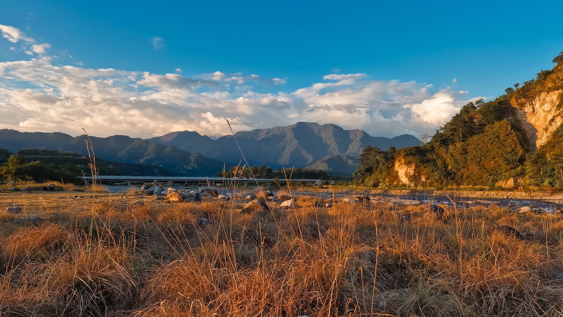 gray computer monitor