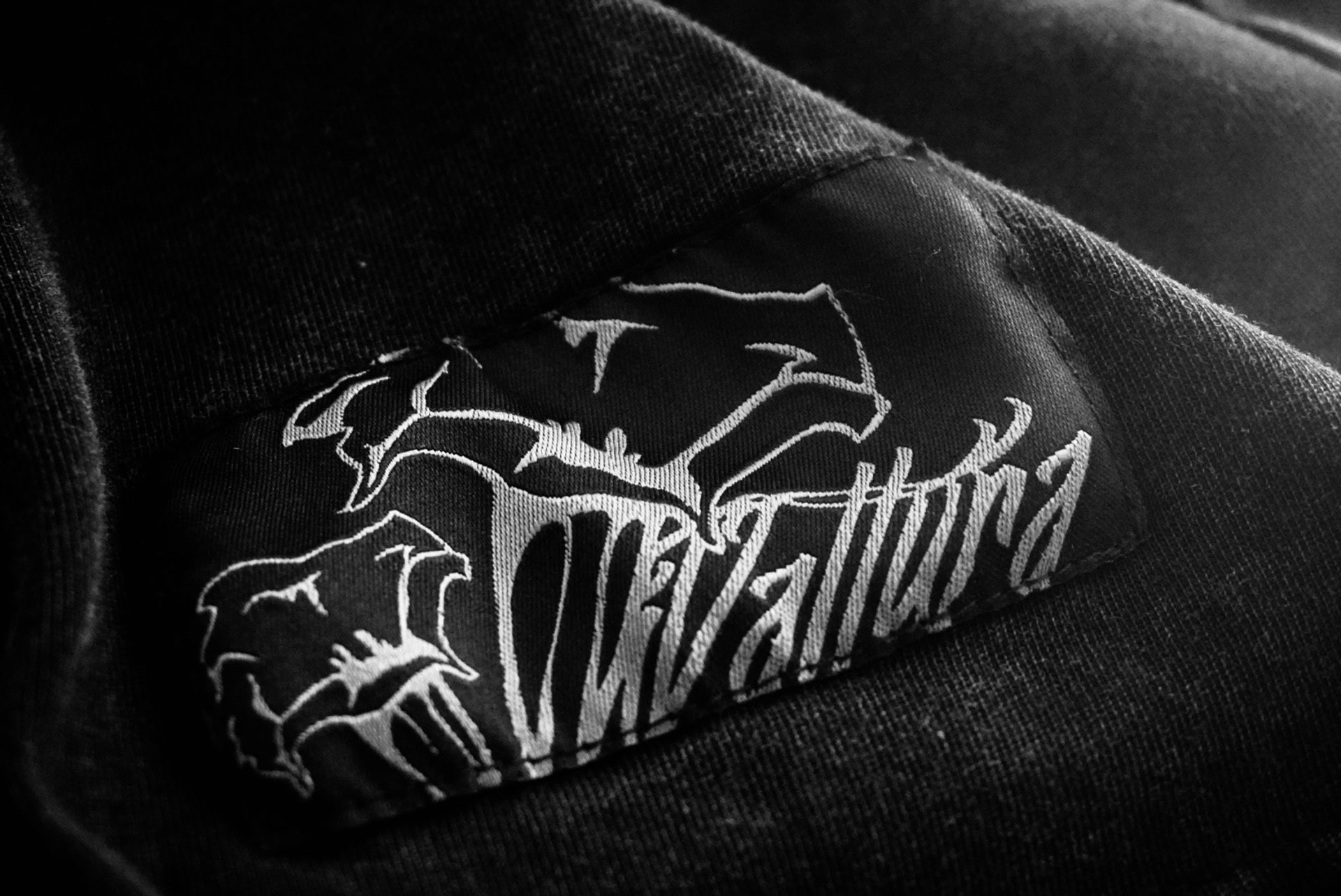 an abstract photo of a curved building with a blue sky in the background