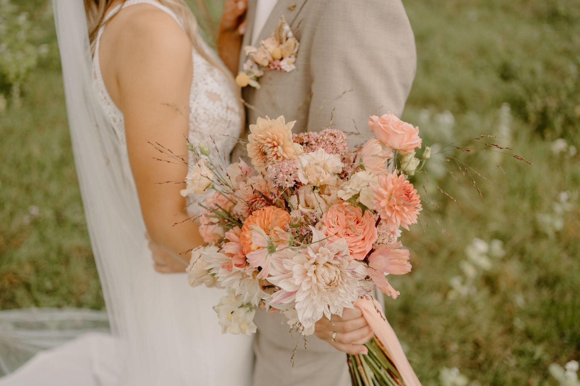 pink roses in close up photography