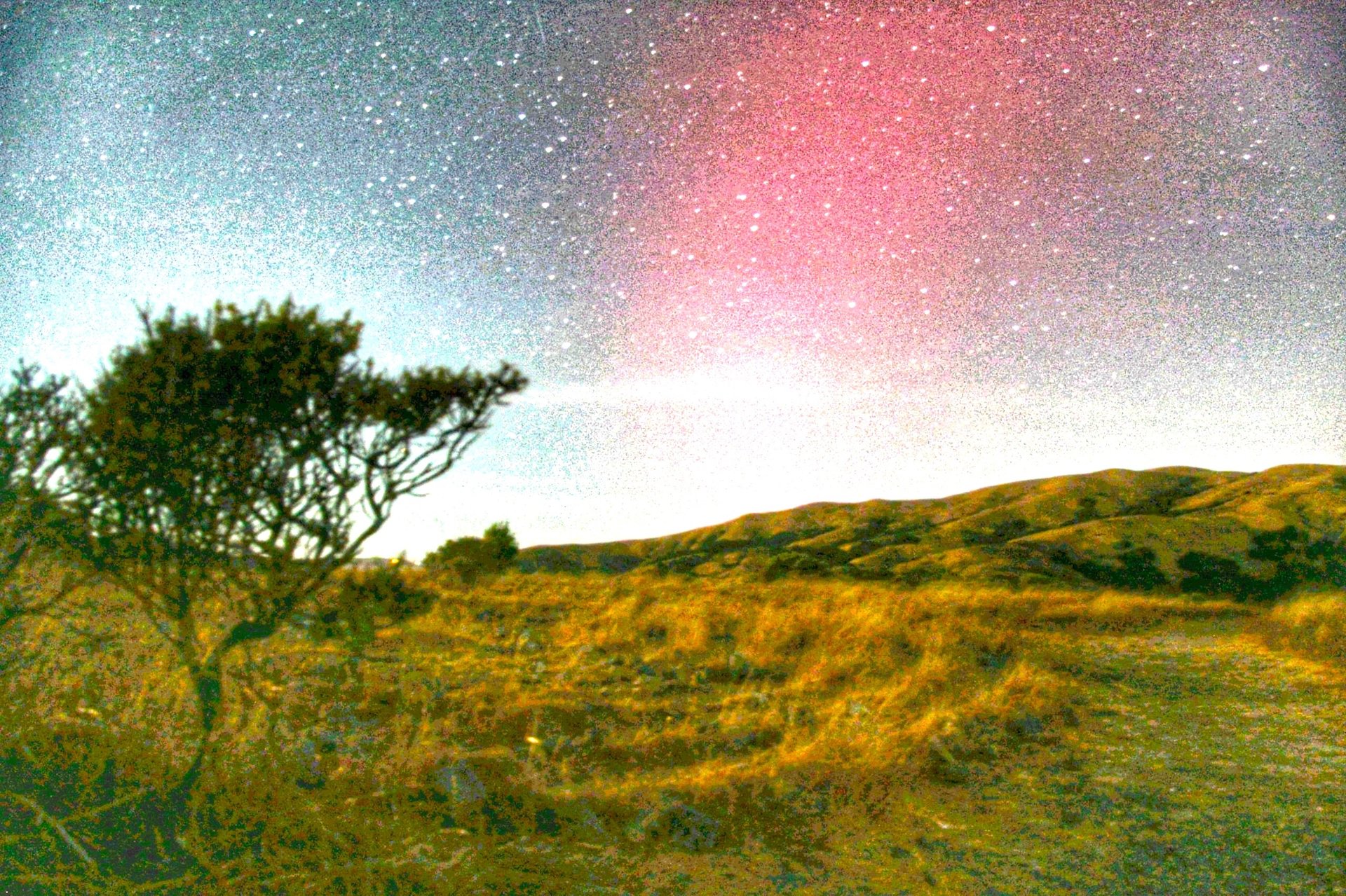 black and brown leather padded tub sofa