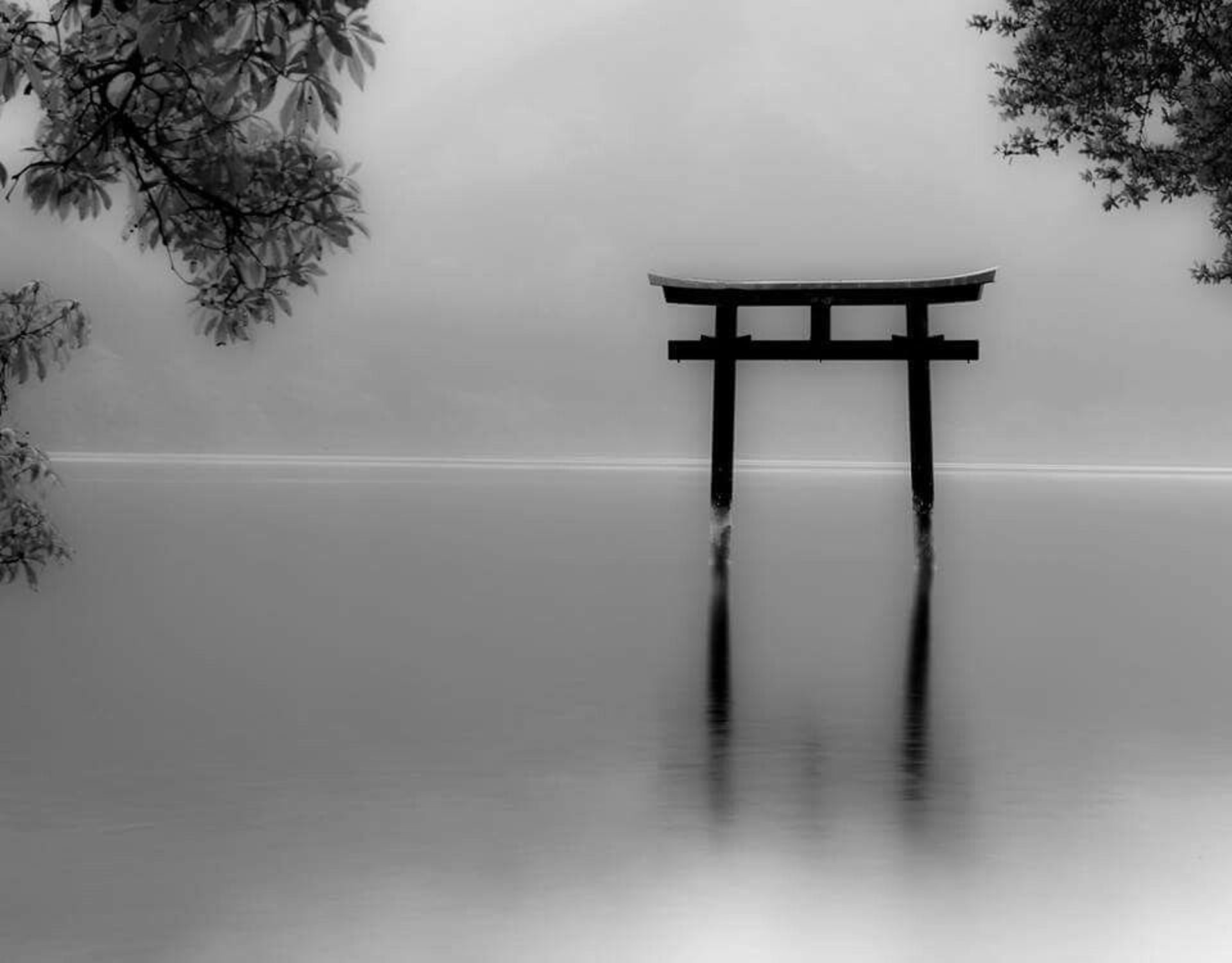 a tori tori floating in the middle of a body of water