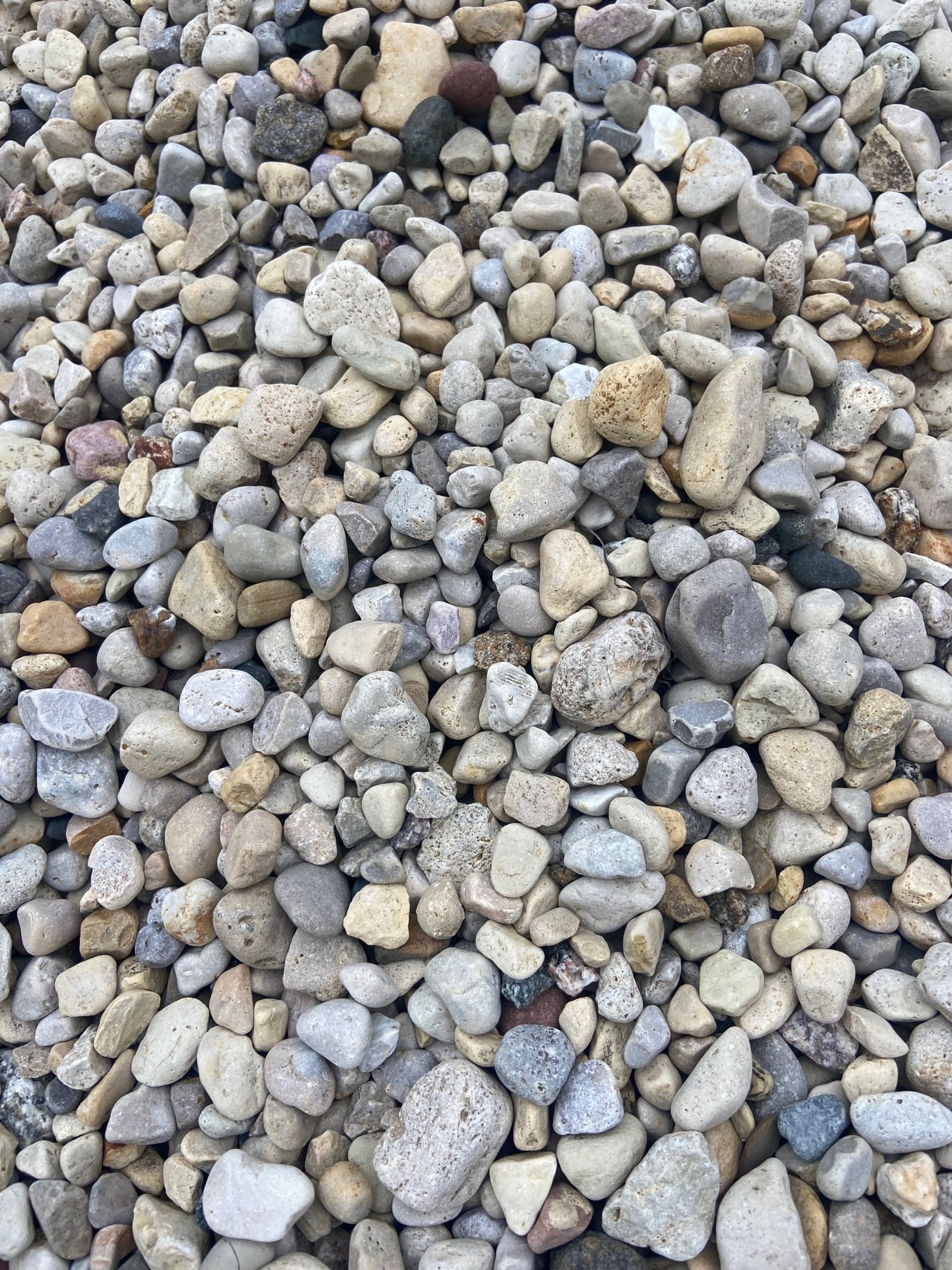 a pile of chopped wood sitting next to each other