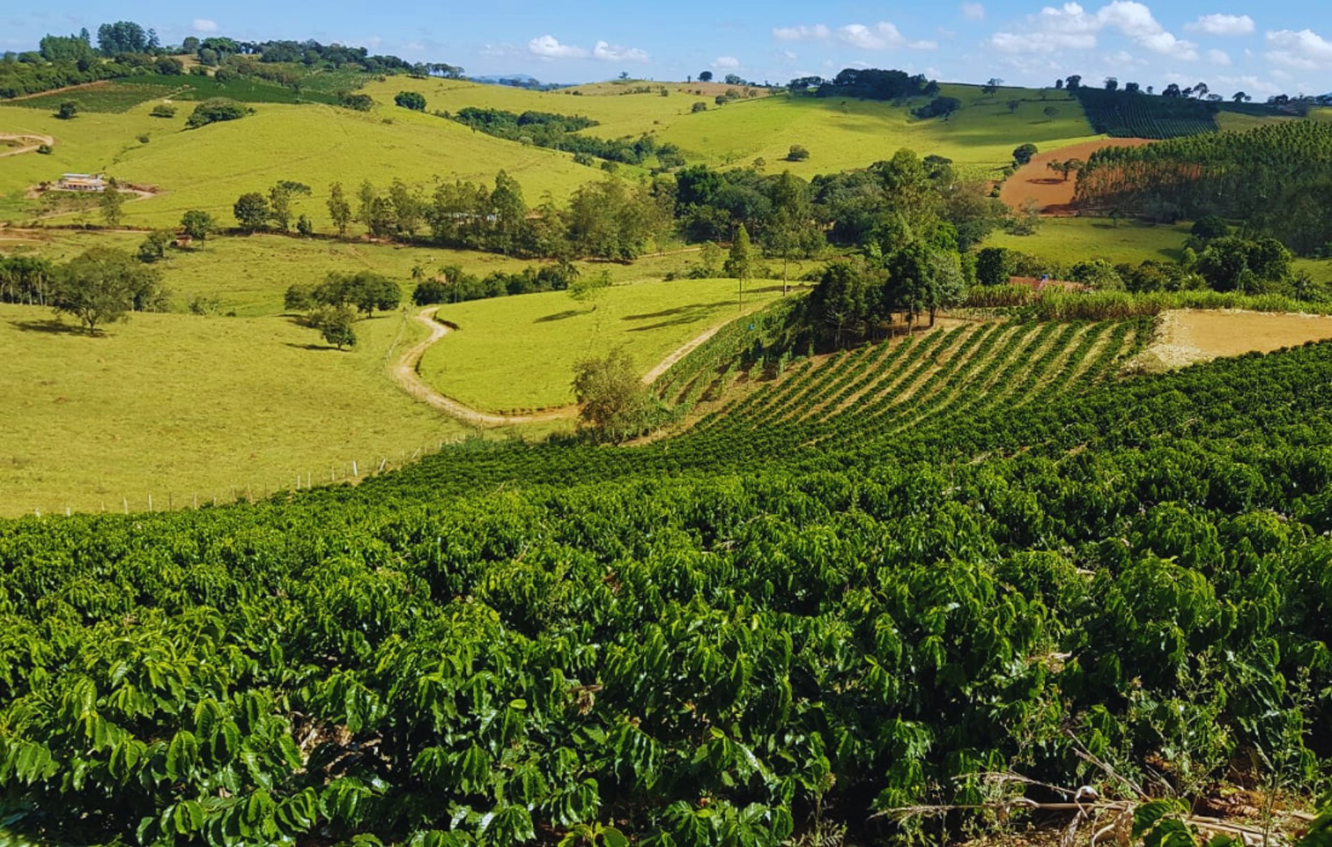 an abstract photo of a curved building with a blue sky in the background