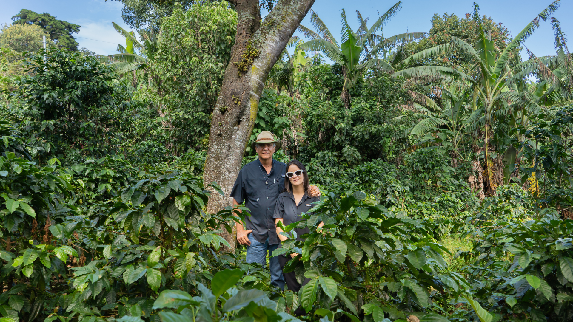 black blue and yellow textile