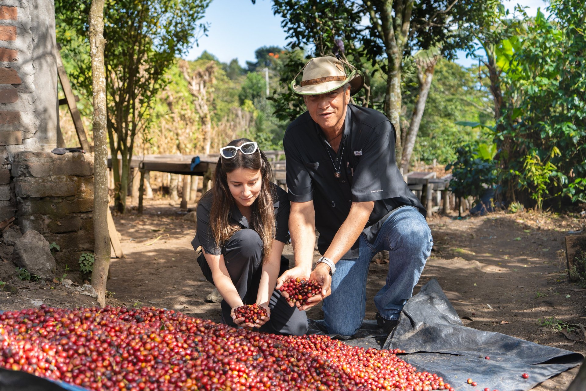 black blue and yellow textile