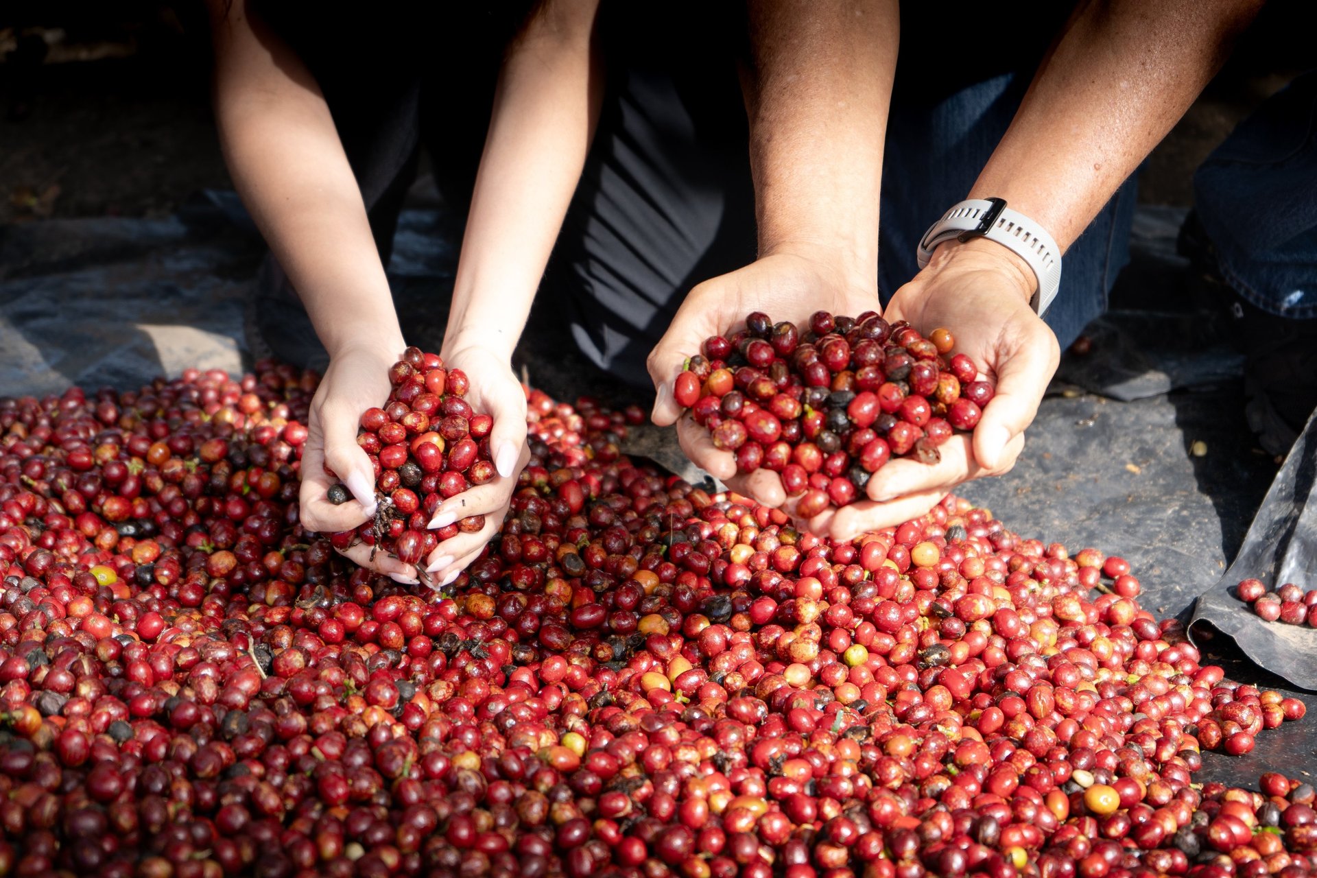 black blue and yellow textile