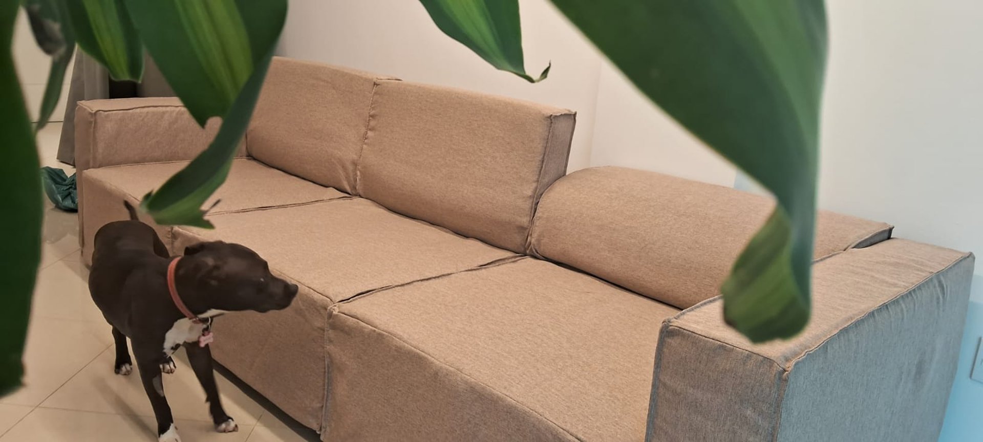 brown wooden table beside white couch