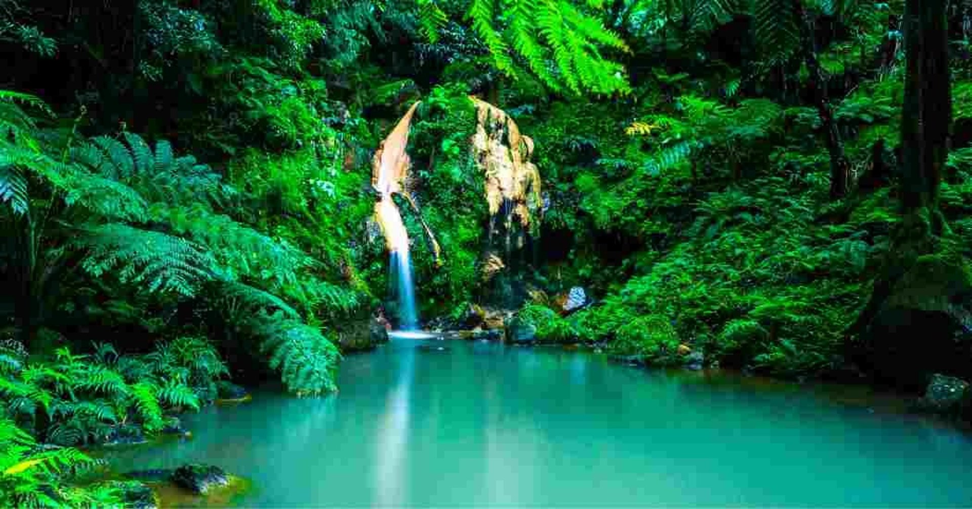 Phong cảnh núi rừng thiên nhiên
