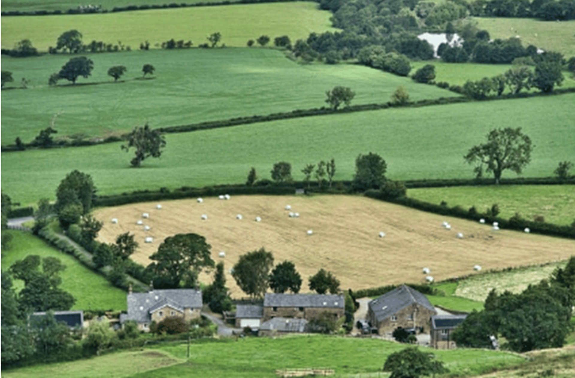 a lush green field next to a body of water