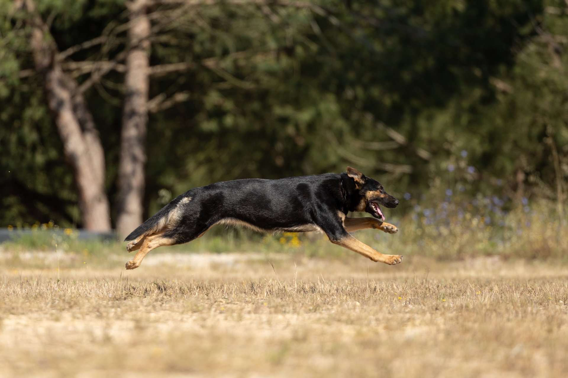 gray computer monitor