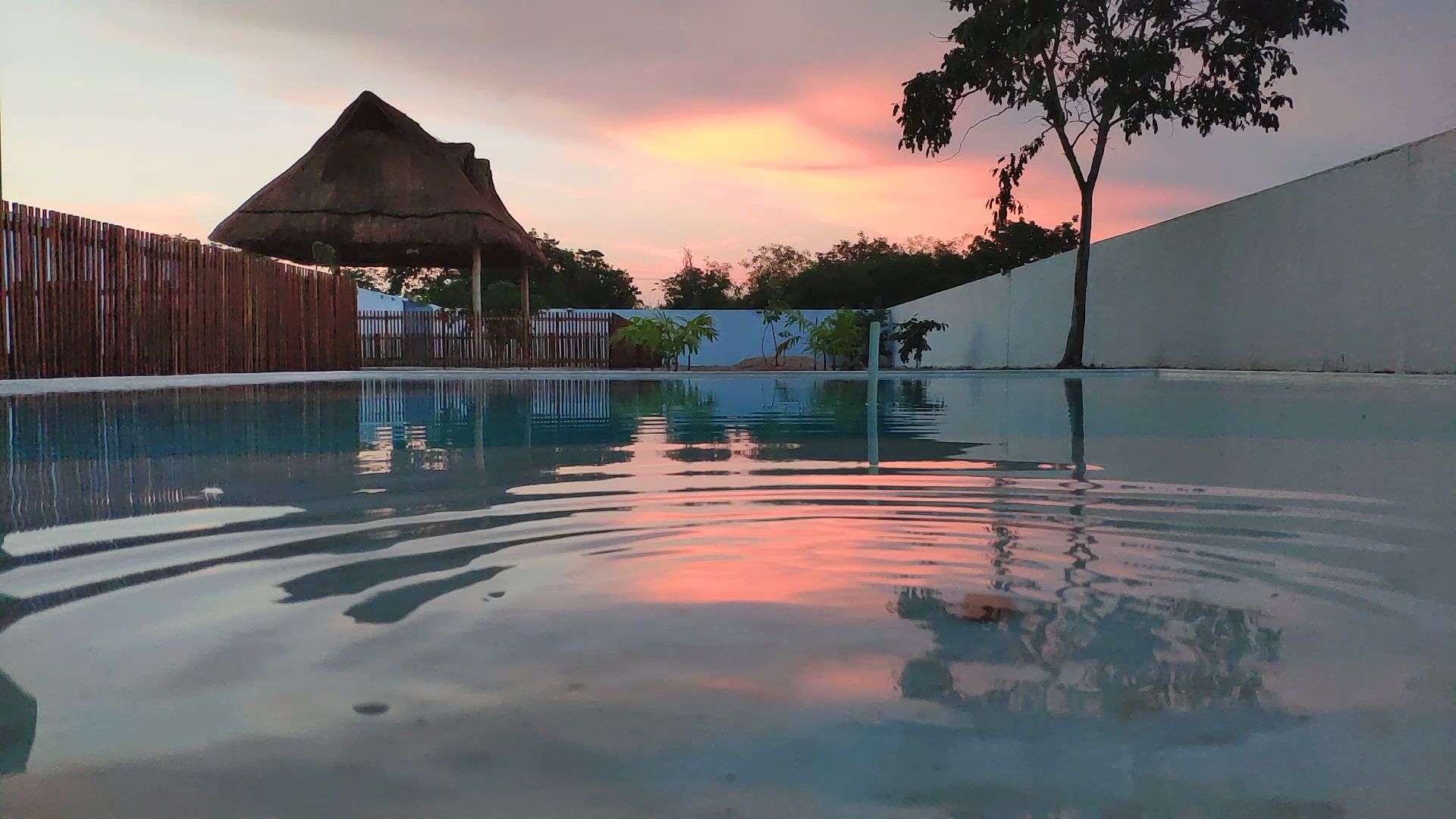 an abstract photo of a curved building with a blue sky in the background