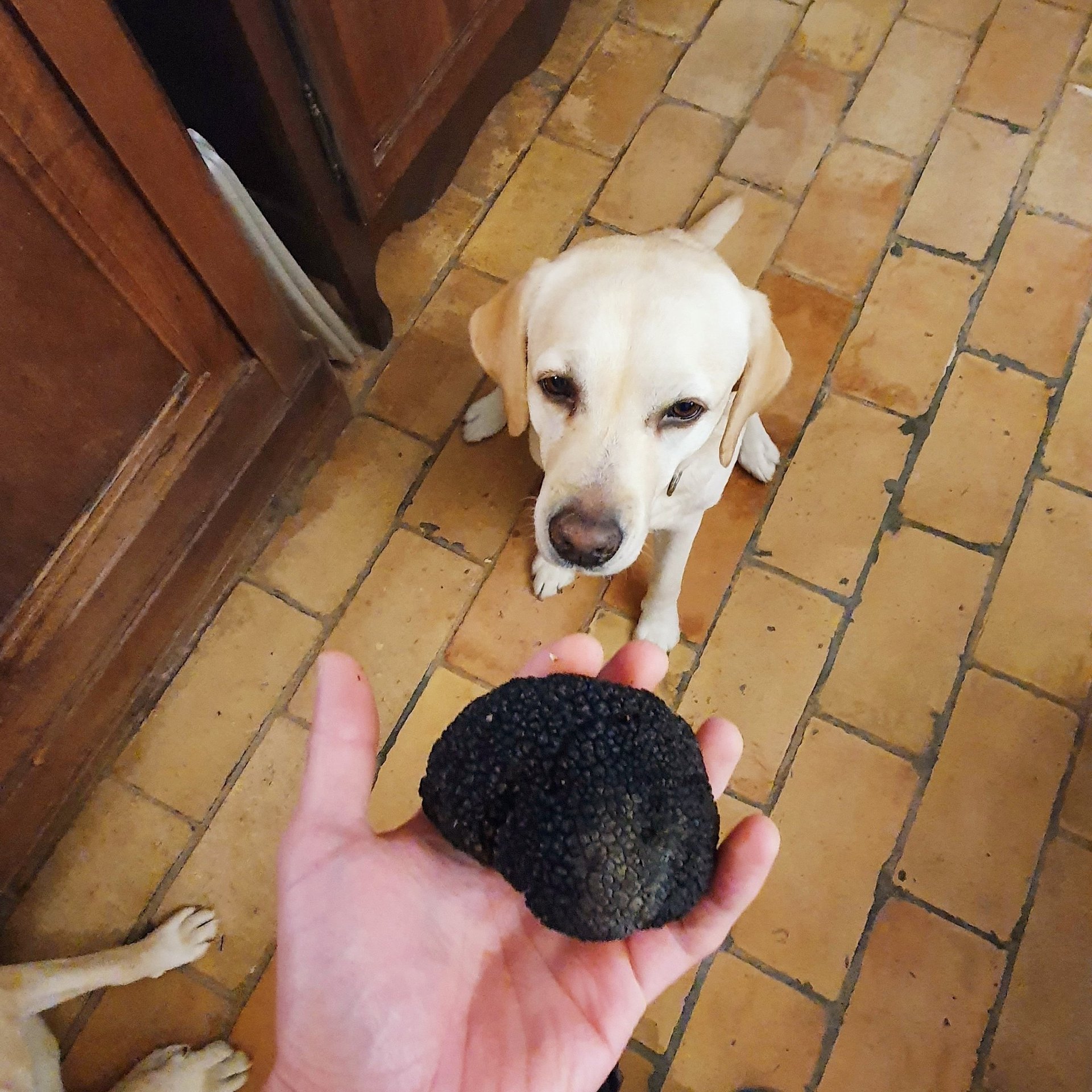 mountain range under blue sky