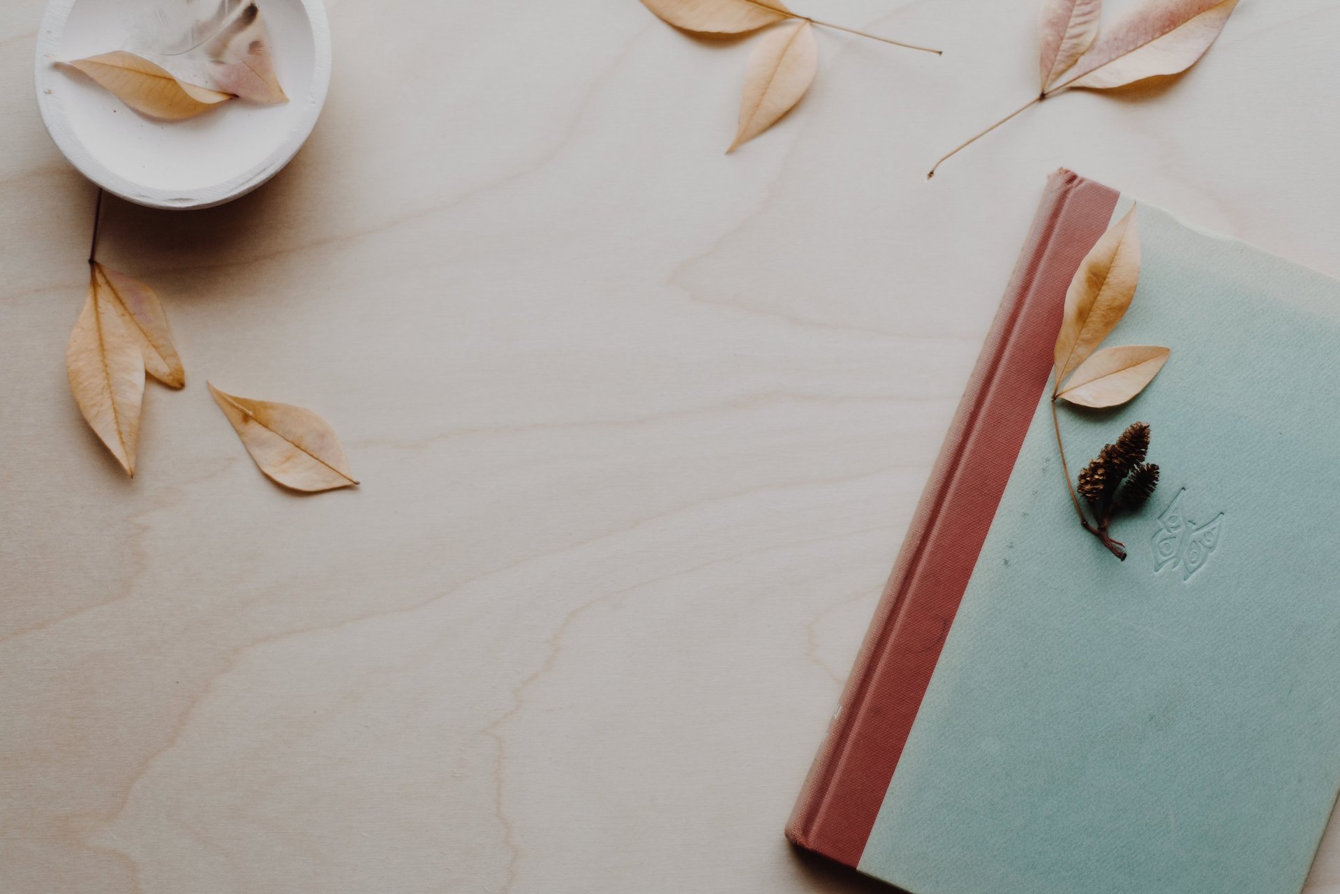 Conoce la esencia de nuestro proyecto: diarios de gratitud, cursos y herramientas para acompañarte en un camino de transforma