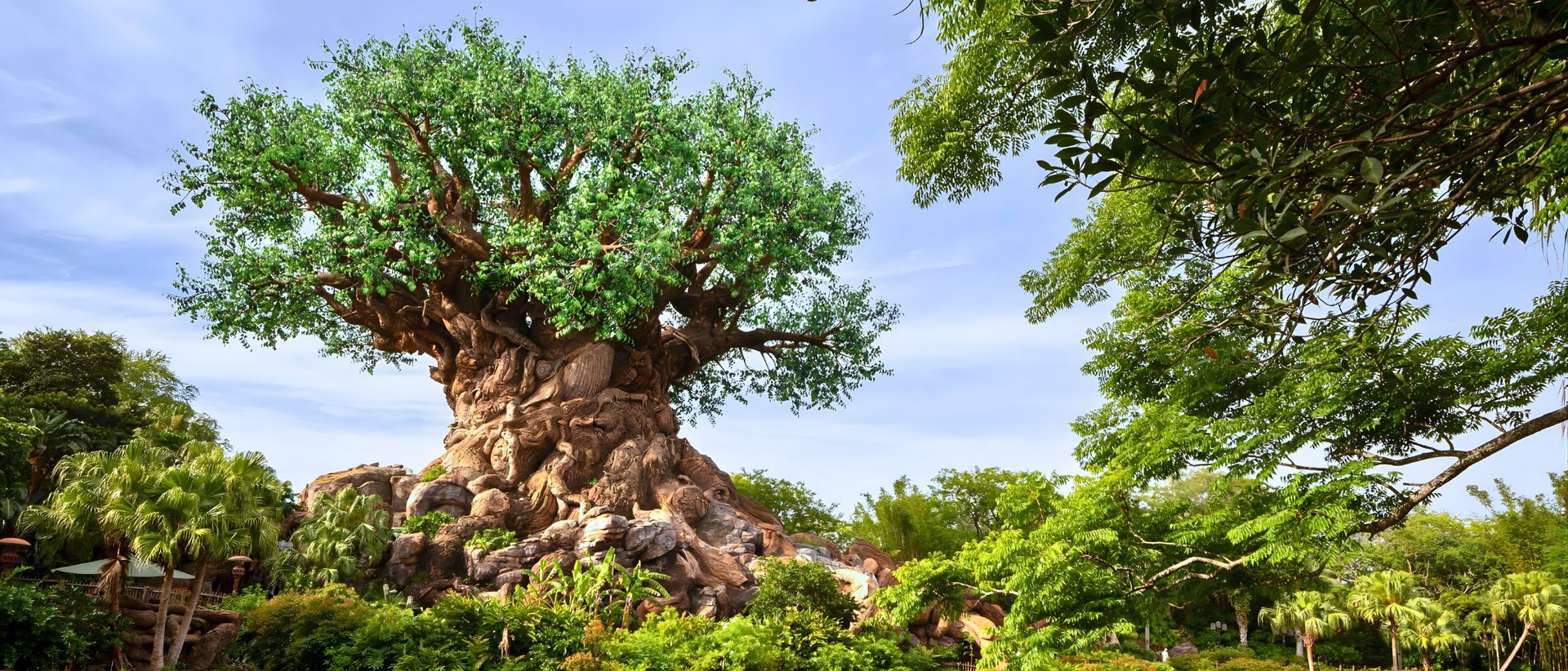 Animal Kingdom tree of life 
