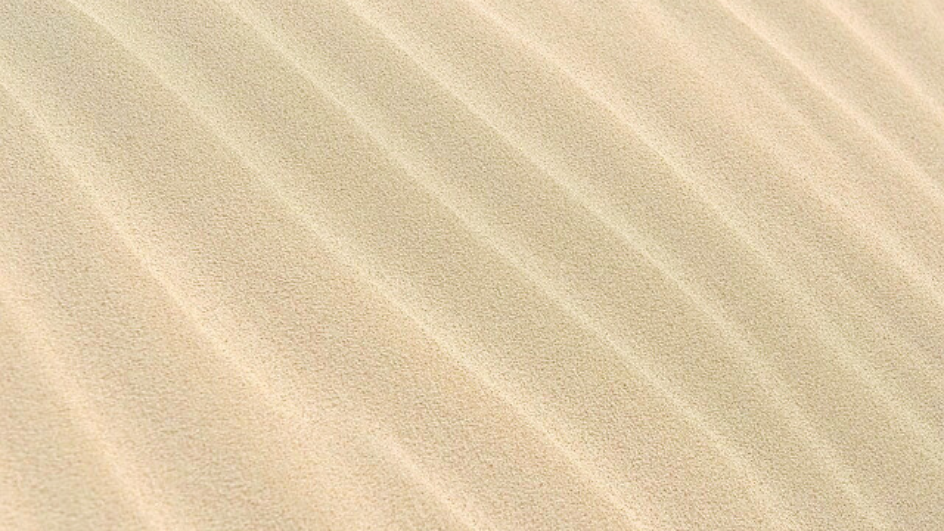 sand background