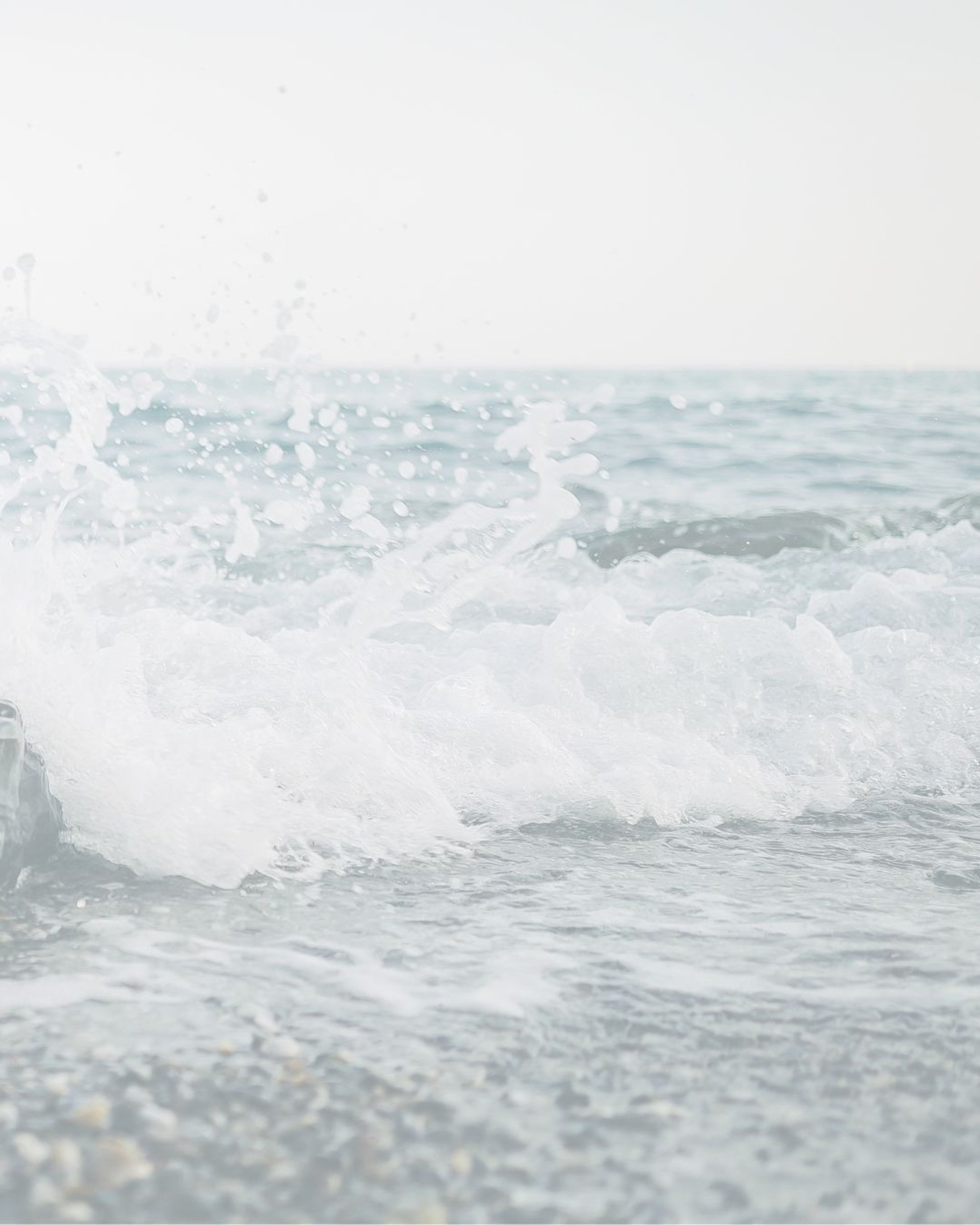 floating white flower