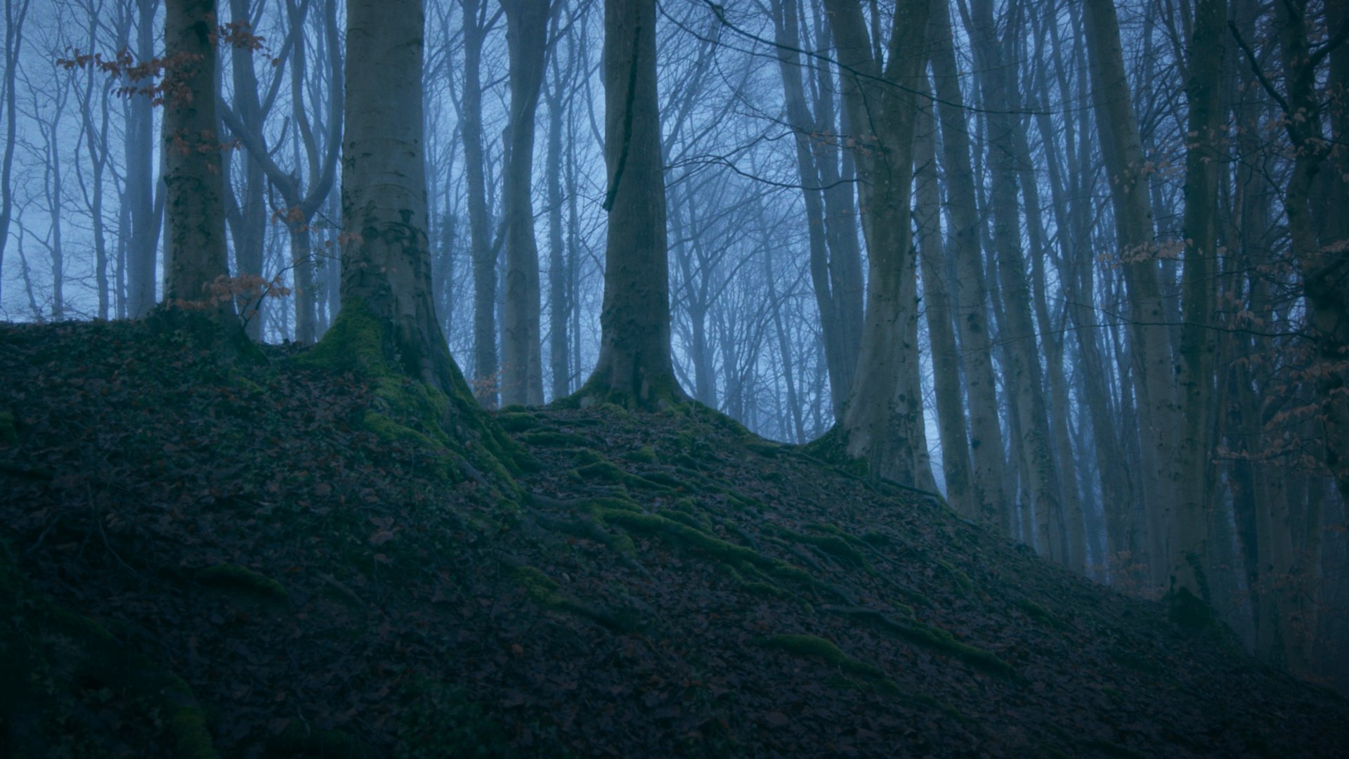 blue and black abstract painting